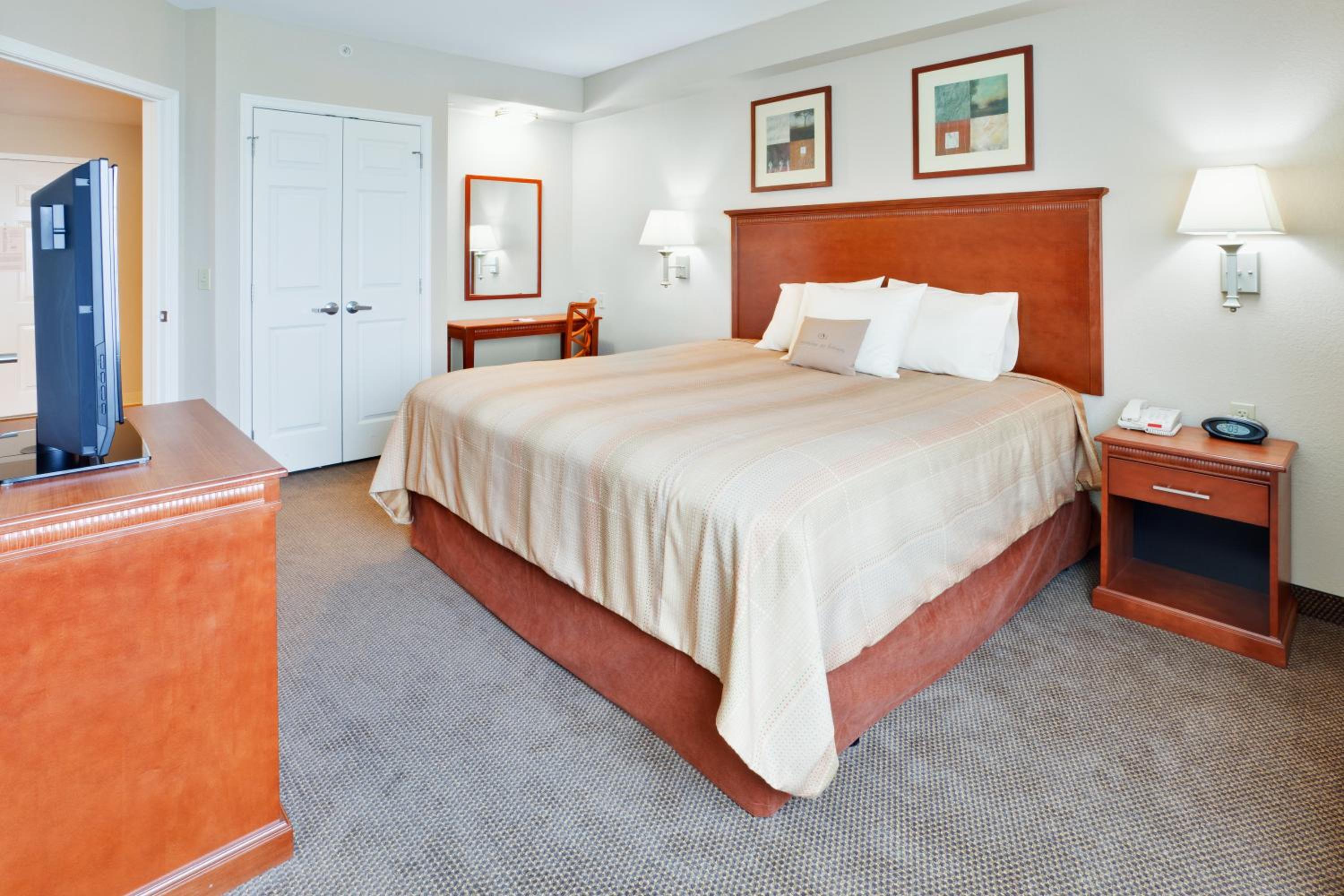 King Studio Suite - Photo 1
