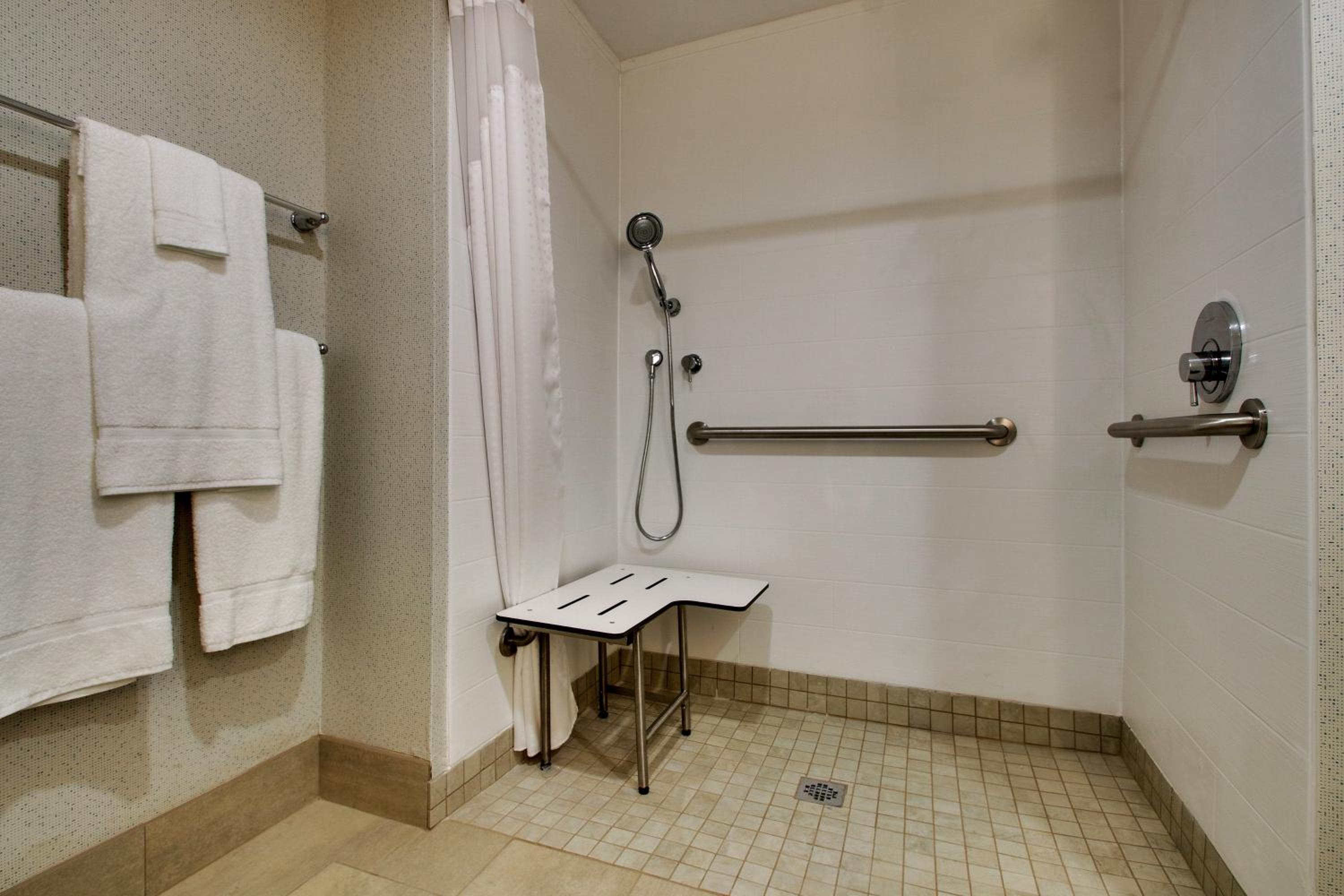 King Room - Disability Access Roll in Shower