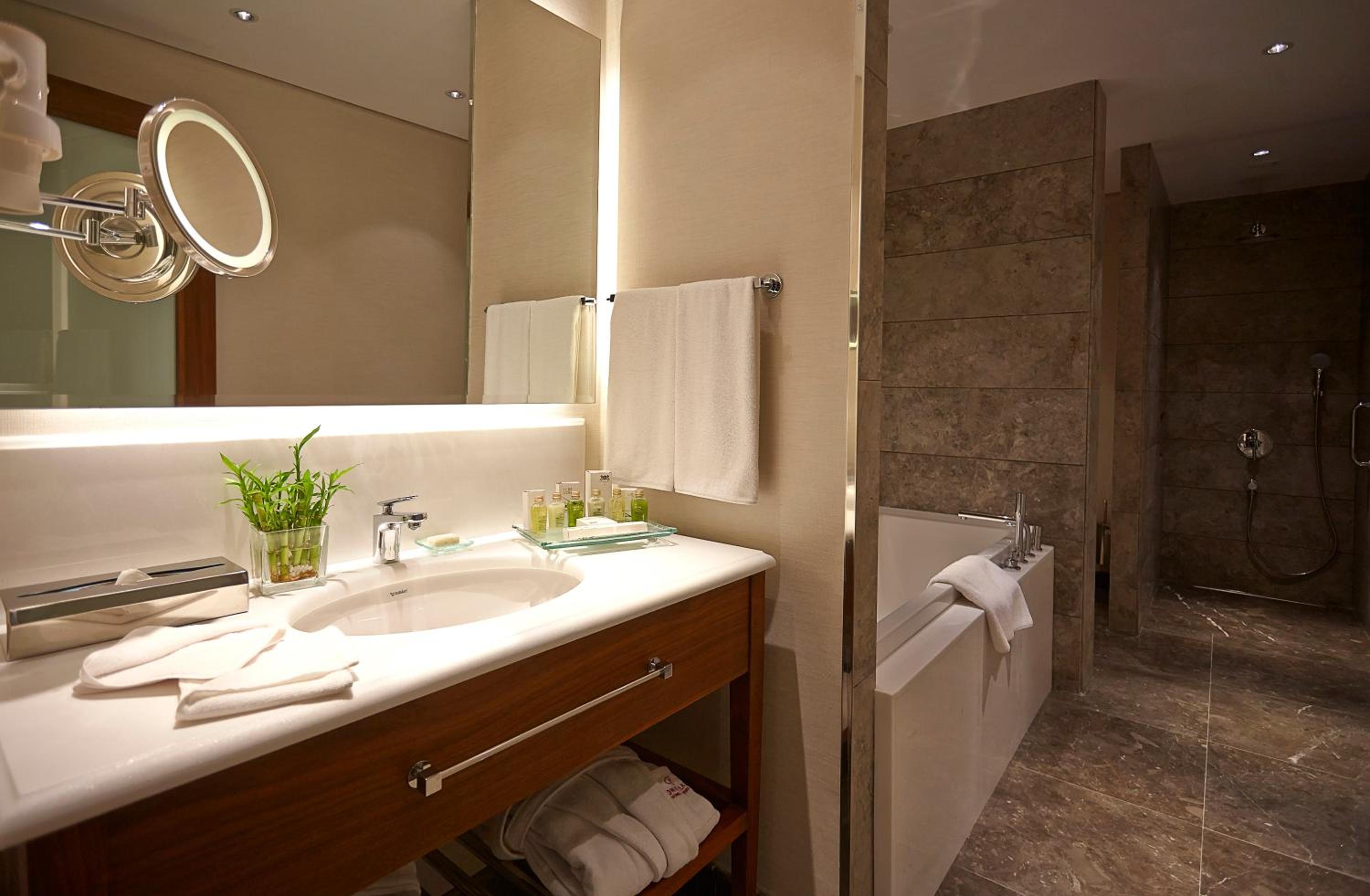 One-Bedroom Suite with Single Sofa Bed