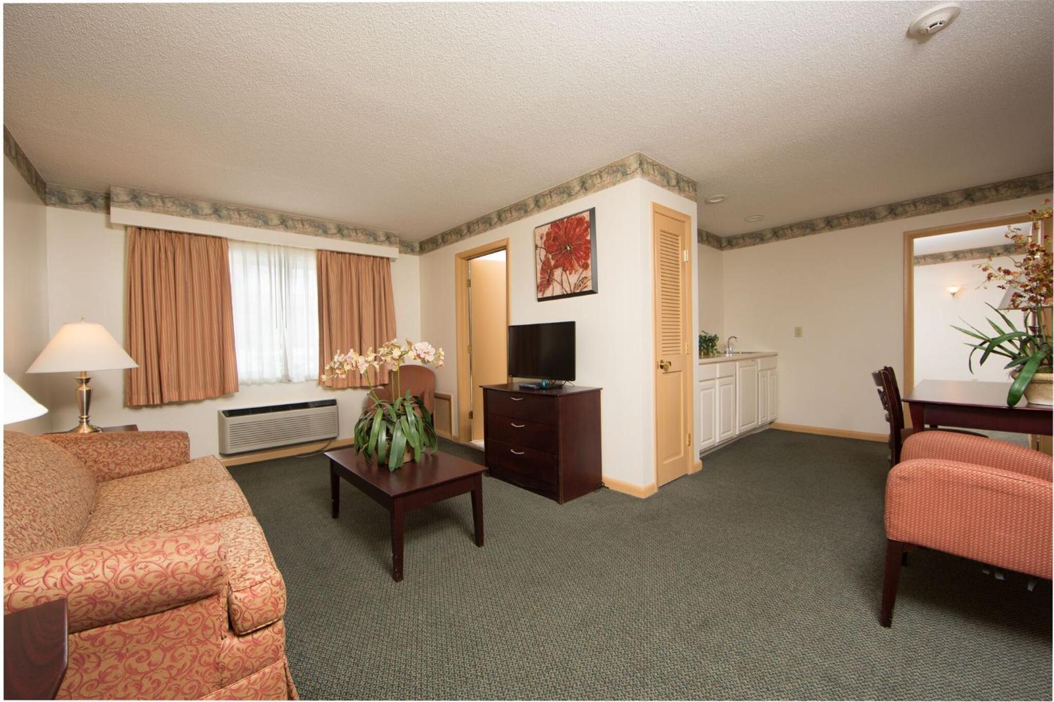 One Room Suite - Photo 1