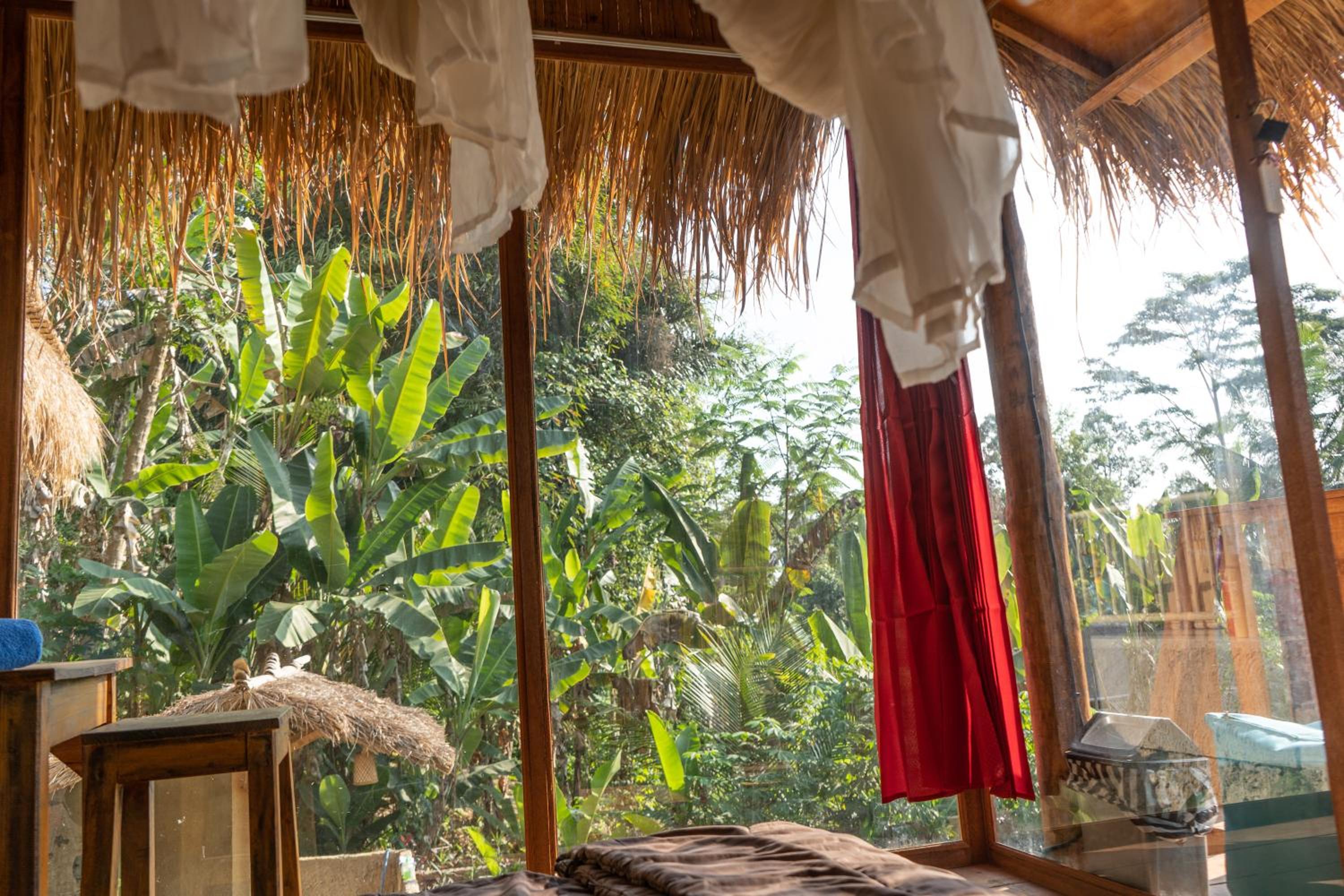 Double Room with Pool View - Photo 1