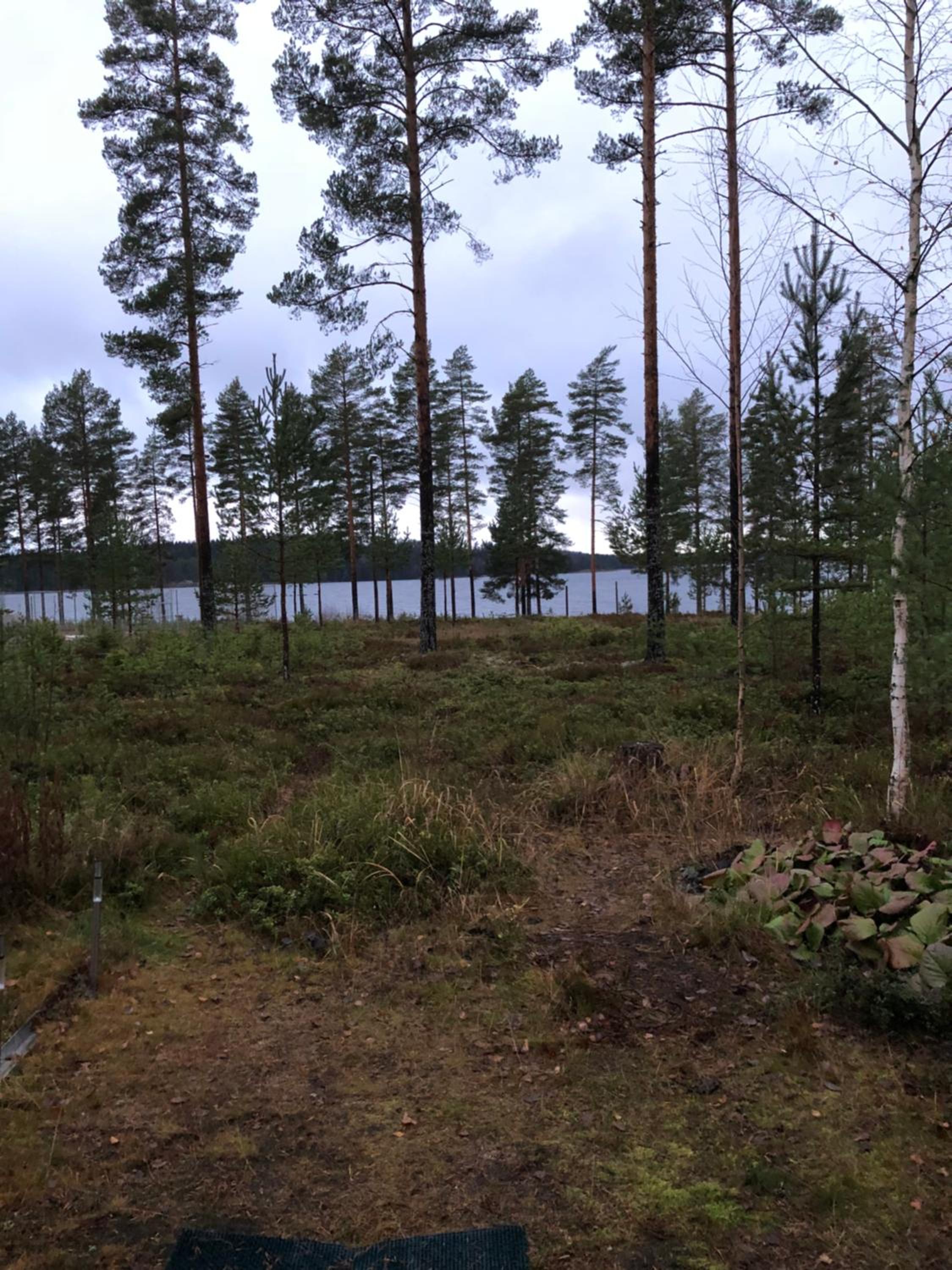 Apartment with Lake View photo 1
