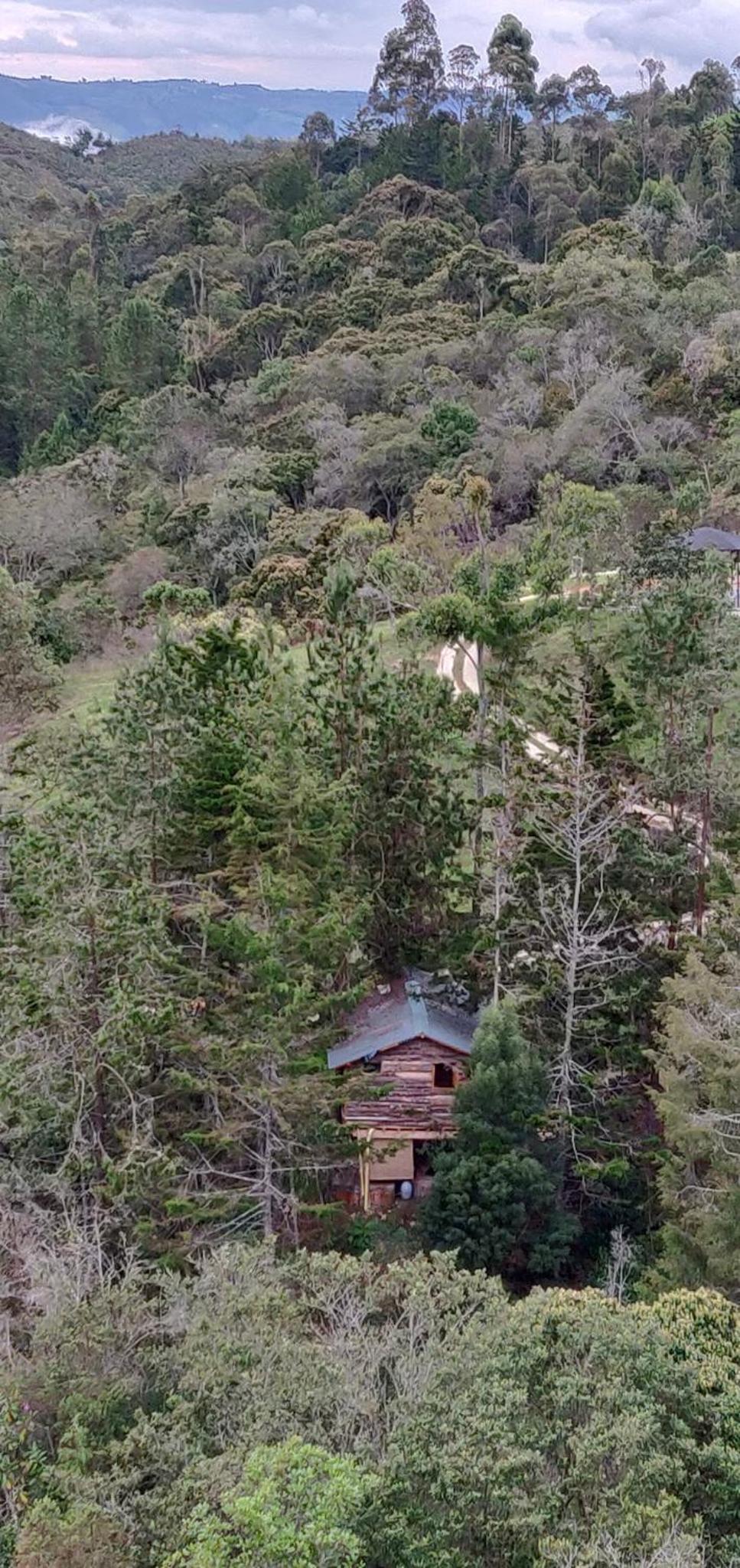 Bungalow with Garden View photo 2