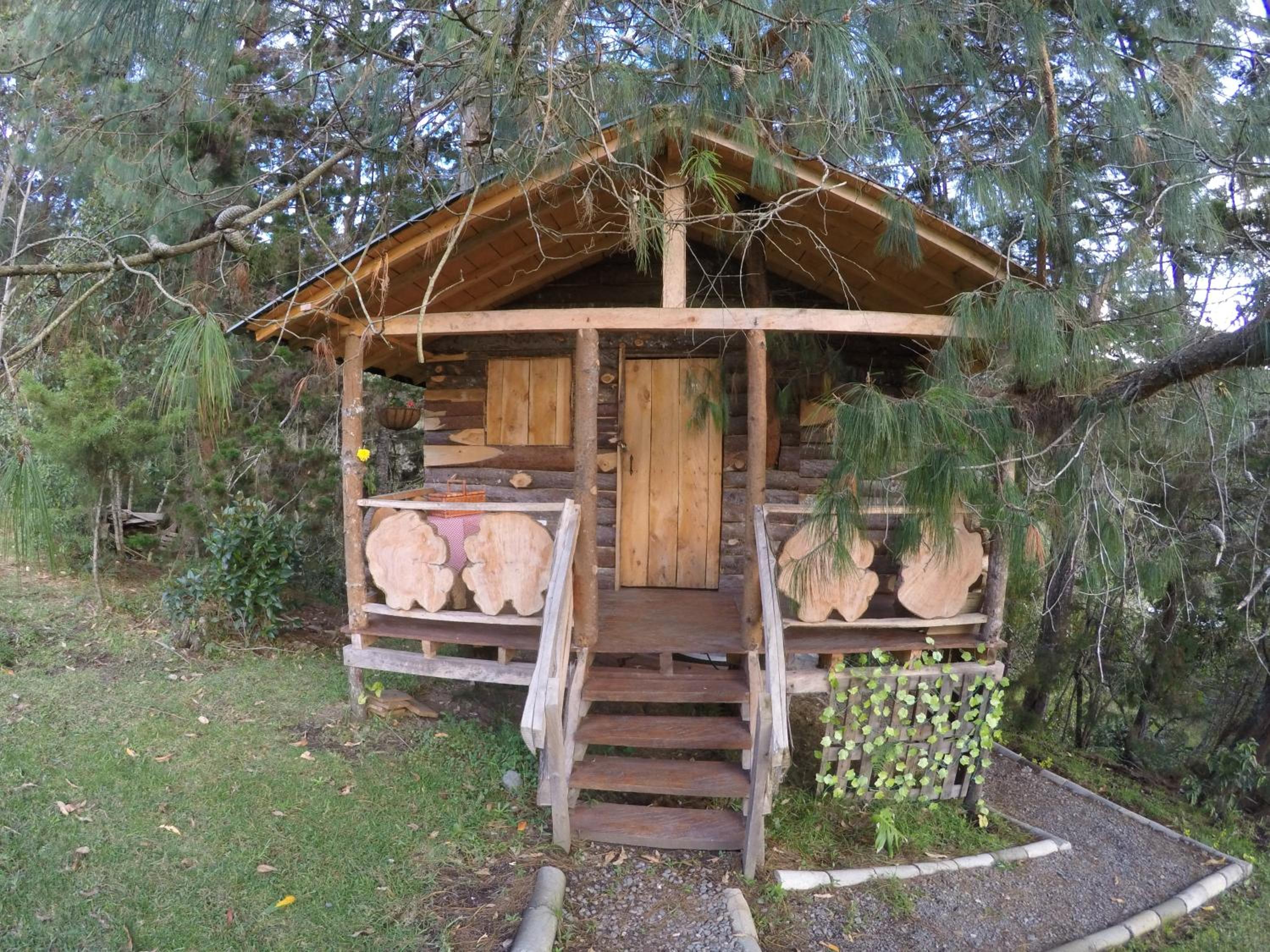 Bungalow with Garden View photo 3