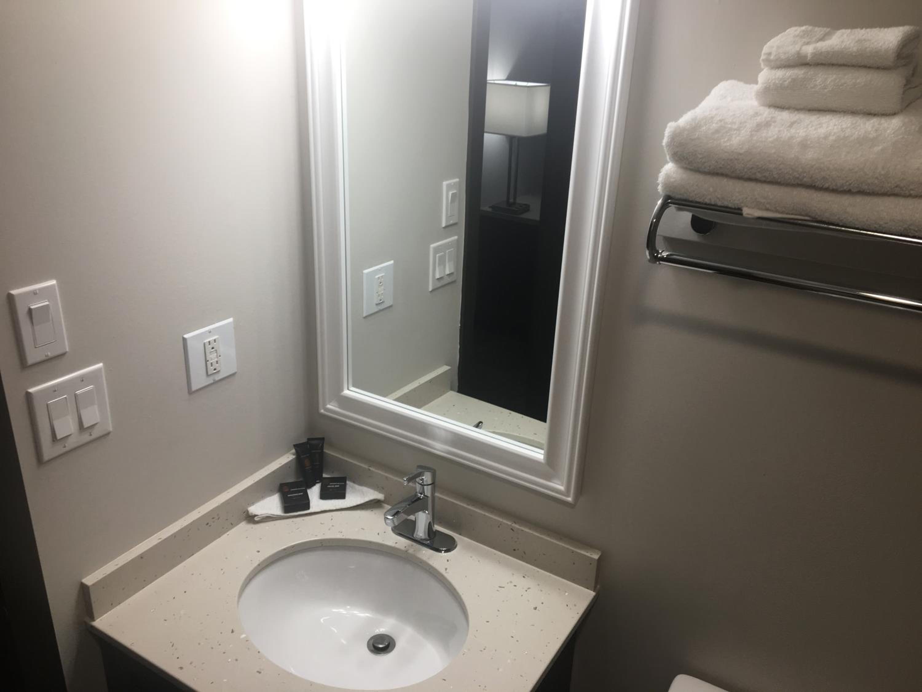 Deluxe King Suite photo 3