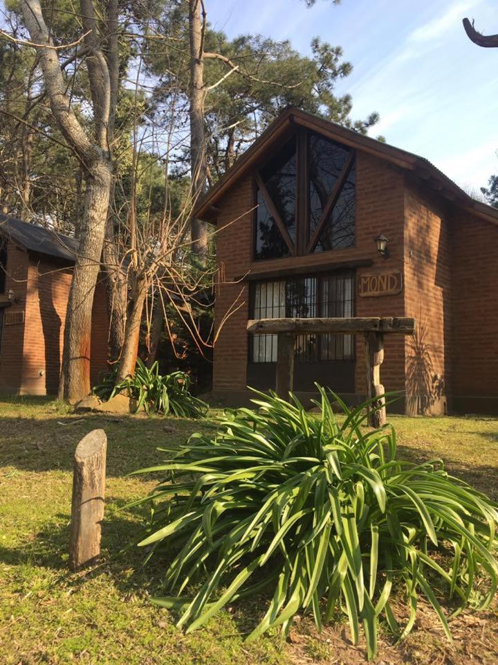 Bungalow (4 Adults) photo 3