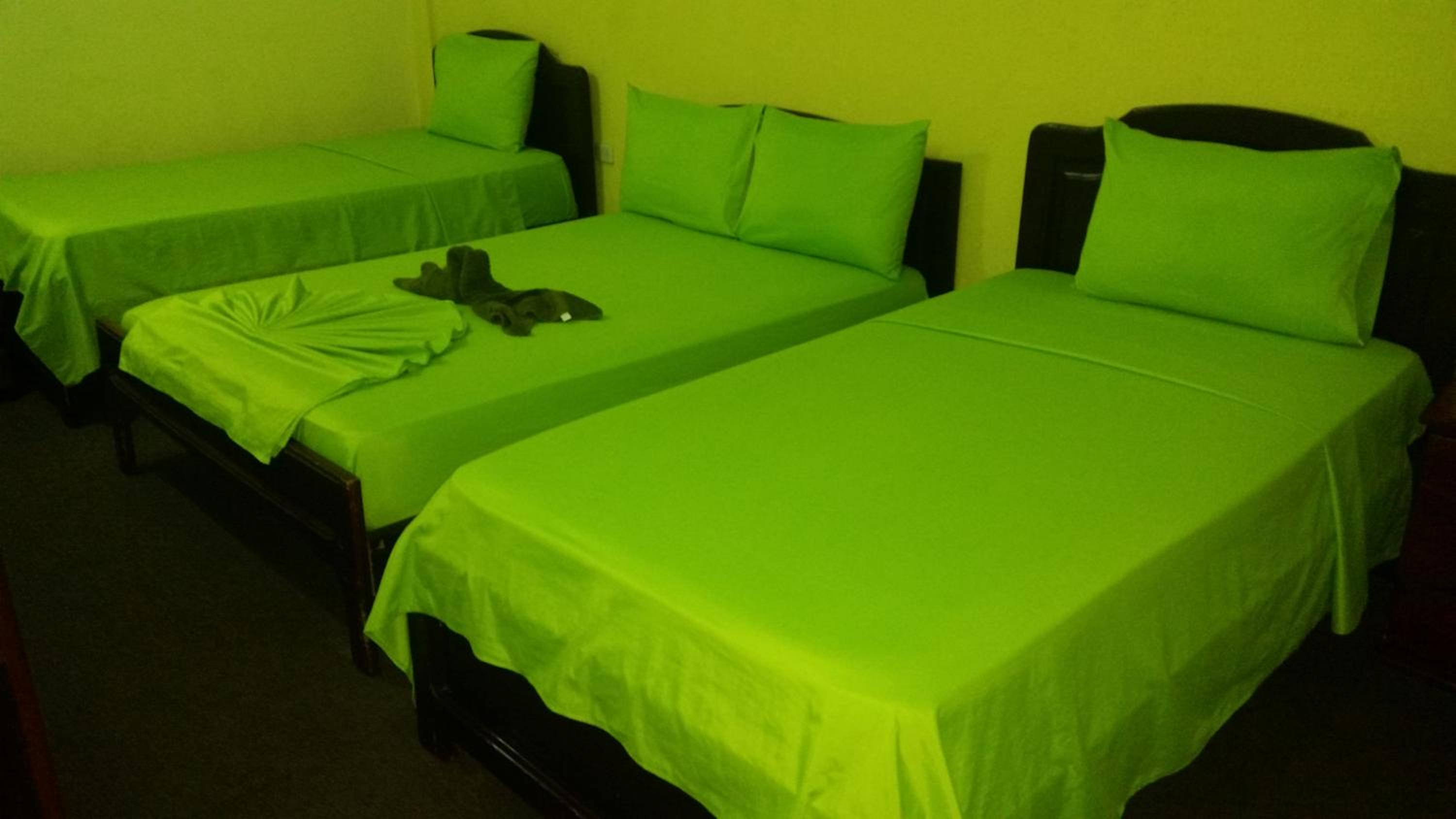 Triple Room photo 3