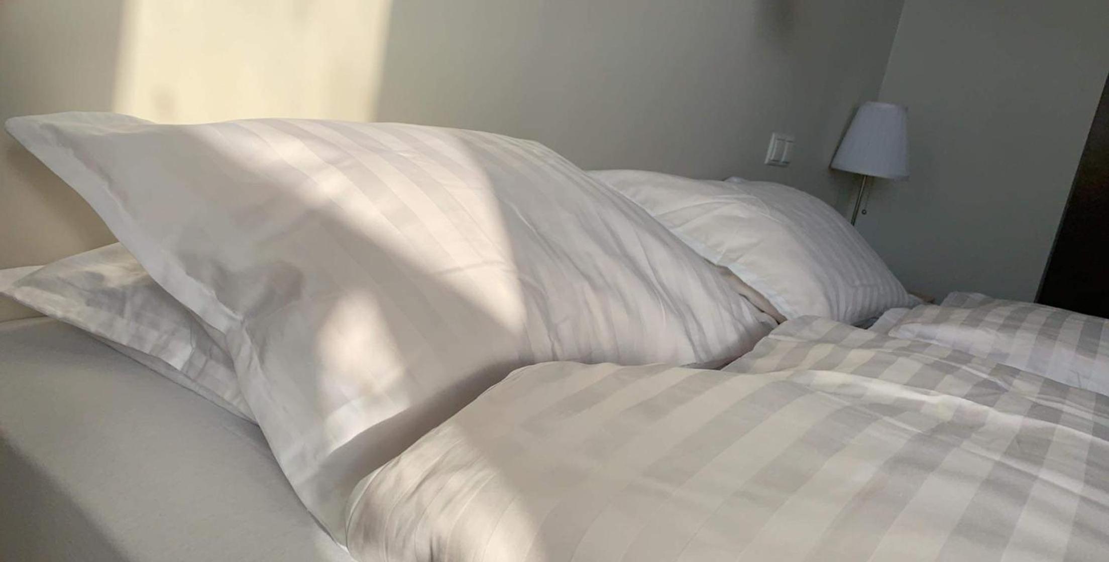 Standard Twin Room photo 3