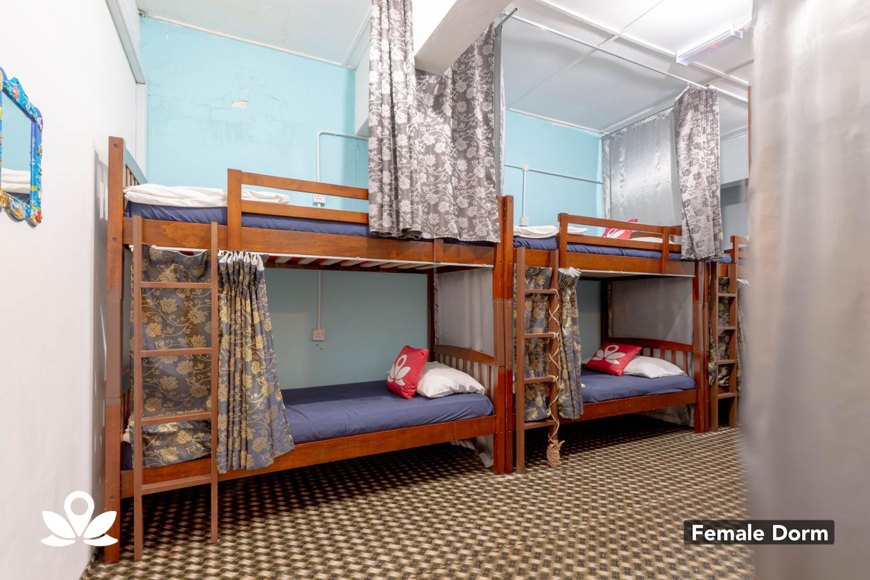 Bunk Bed in Female Dormitory Room   photo 3