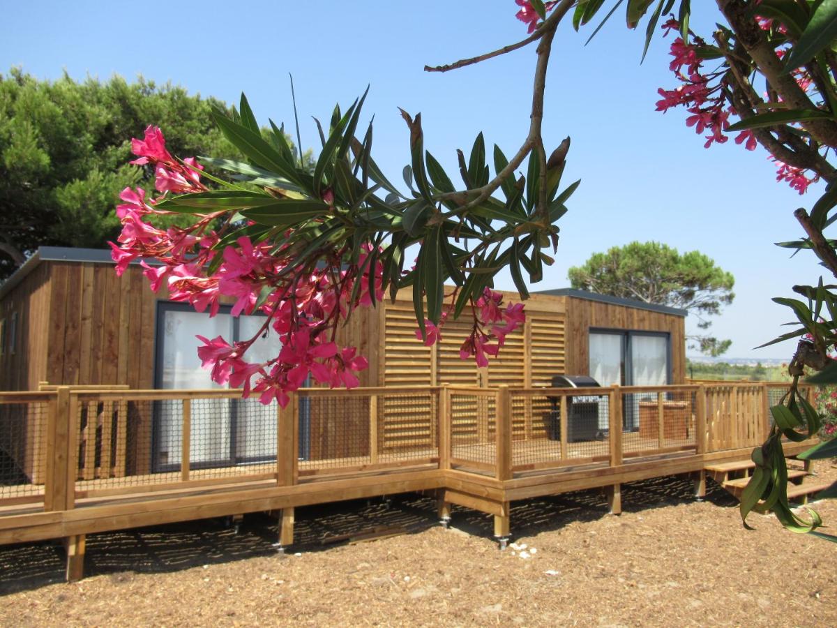 Superior Bungalow
