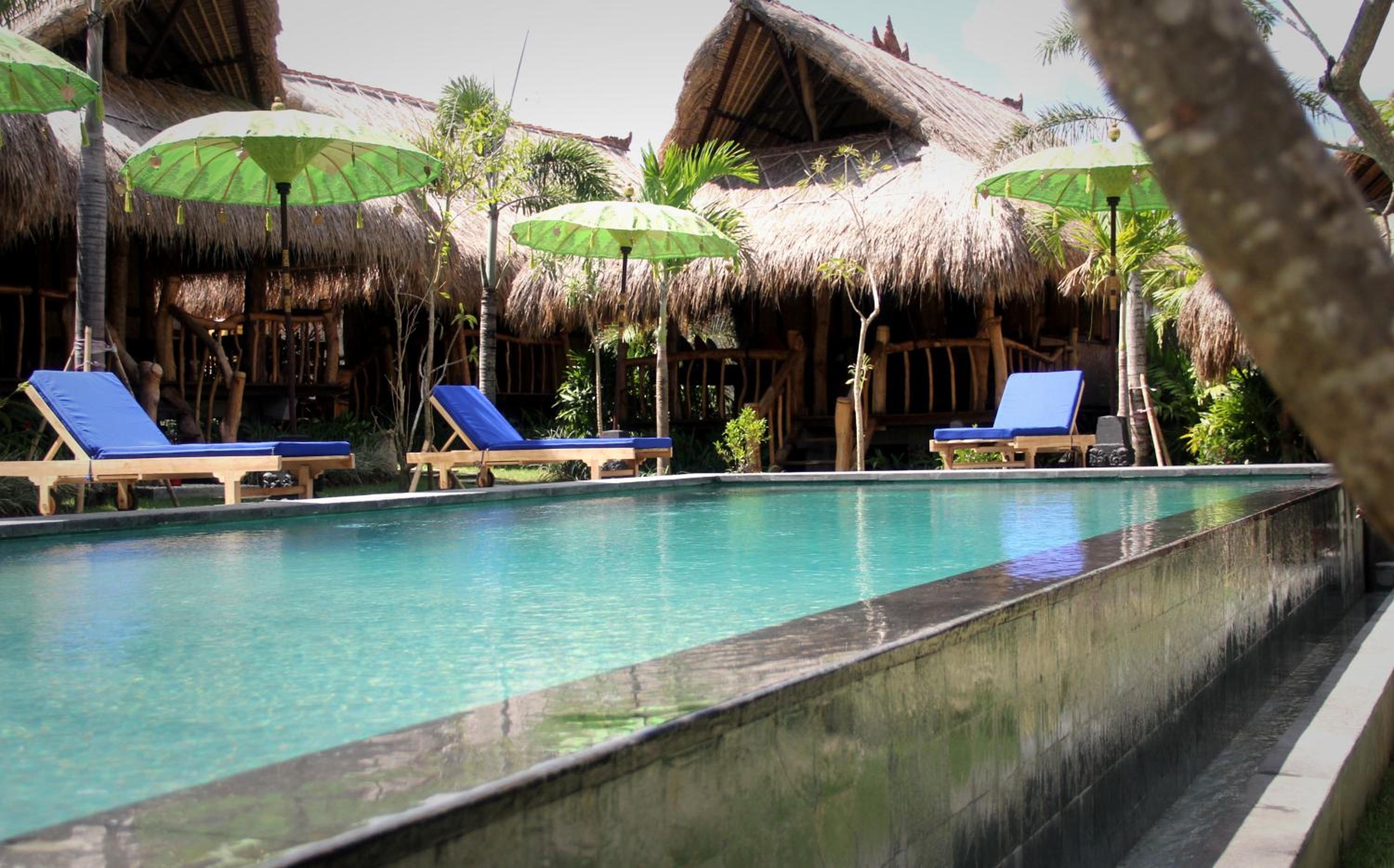Family Bungalow (4 Adults) photo 3
