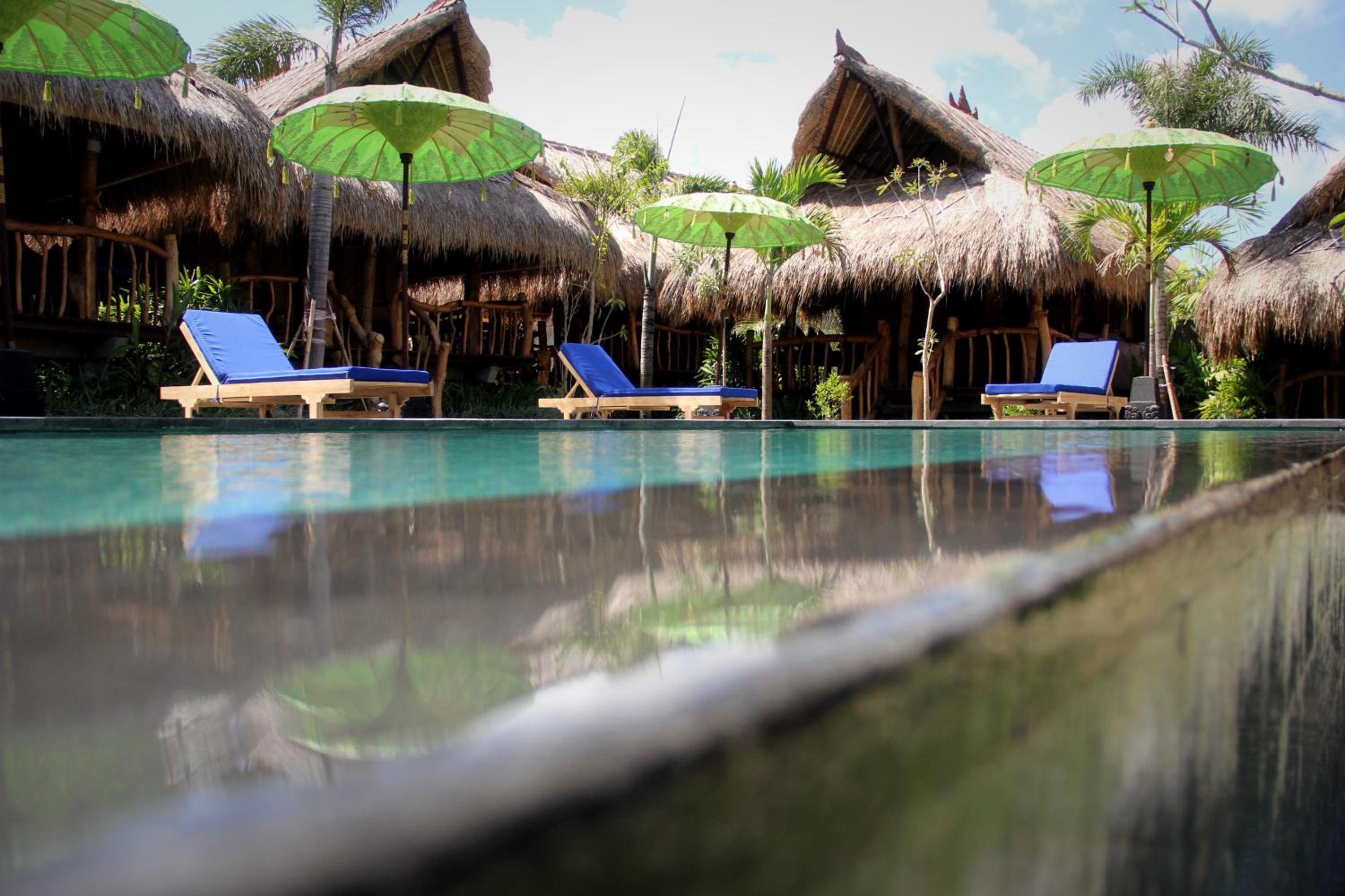 Family Bungalow (4 Adults) photo 2