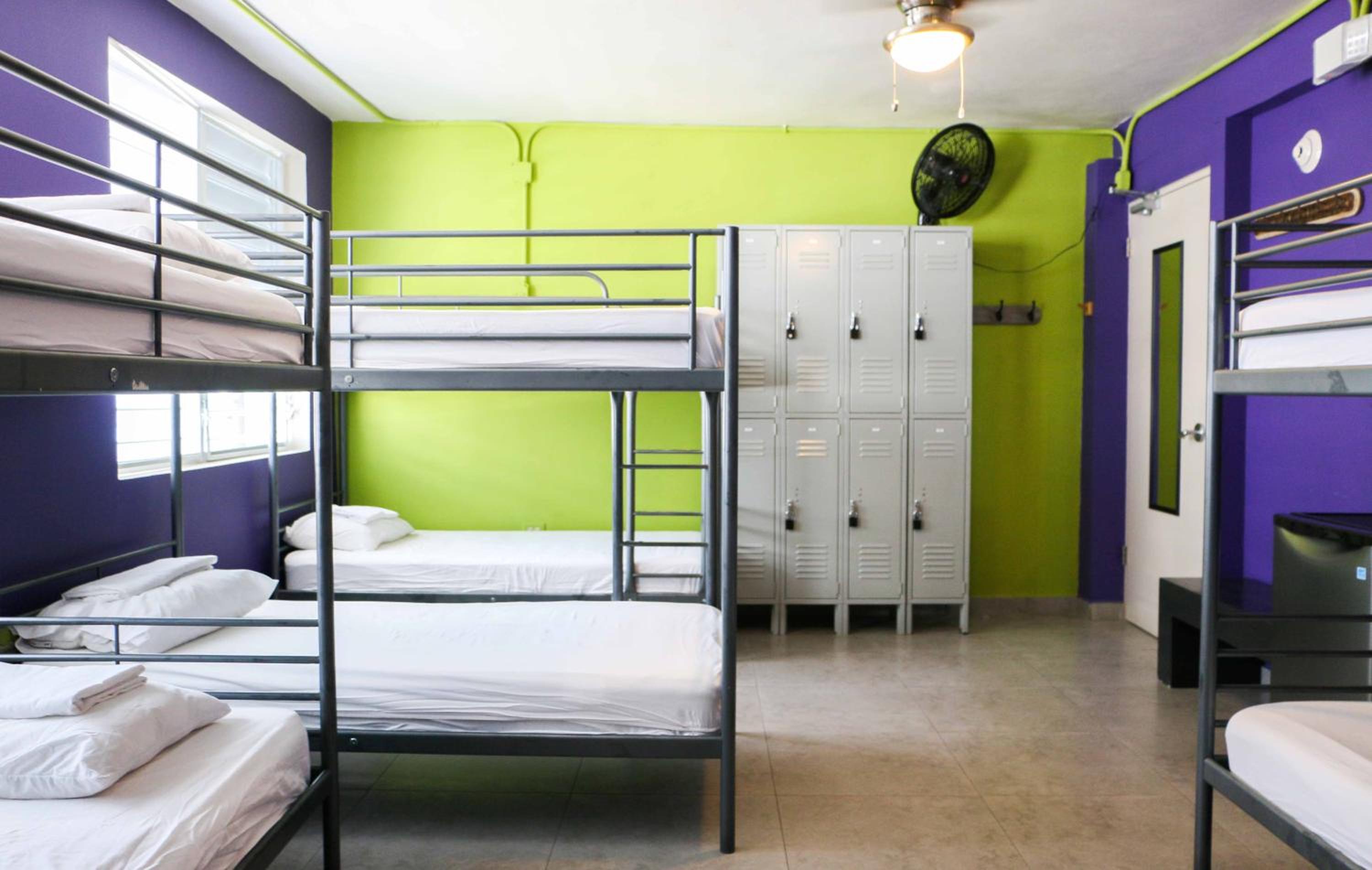 Bett in gemischtem 8-Bett Schlafsaal
