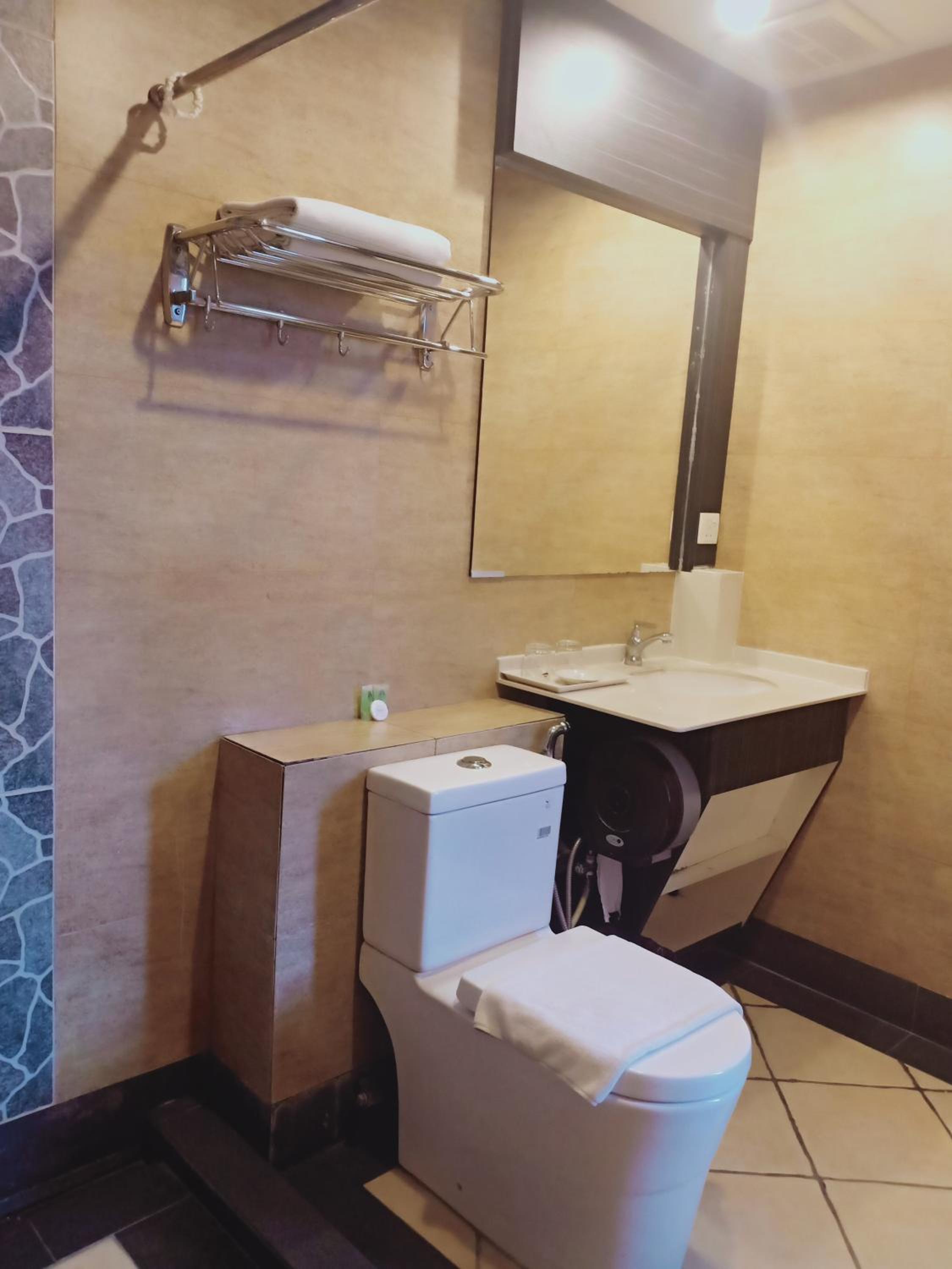 Deluxe Single Room photo 3