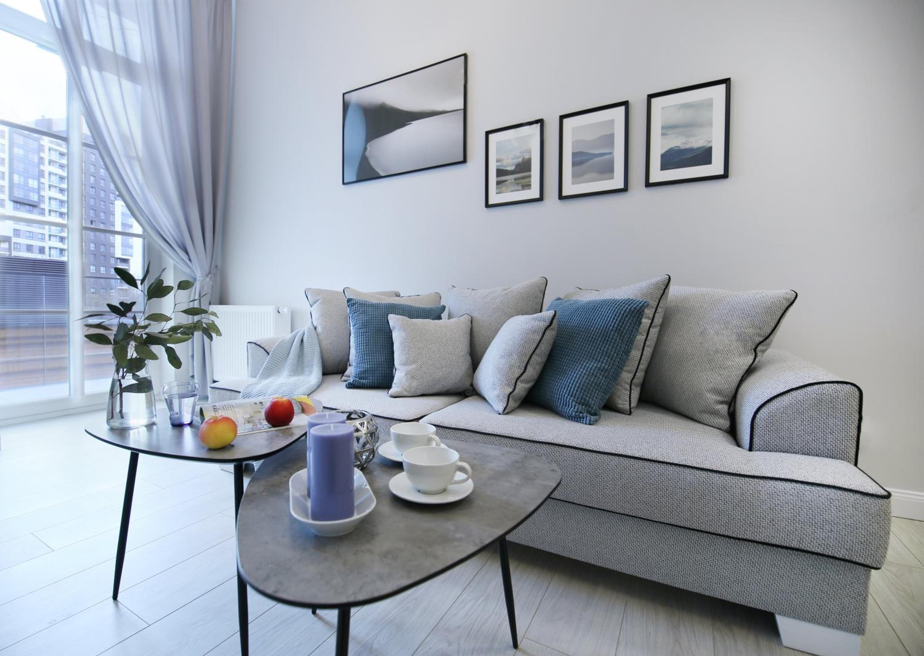 One-Bedroom Apartment -  - Wszystkich Świętych 23 Street photo 3