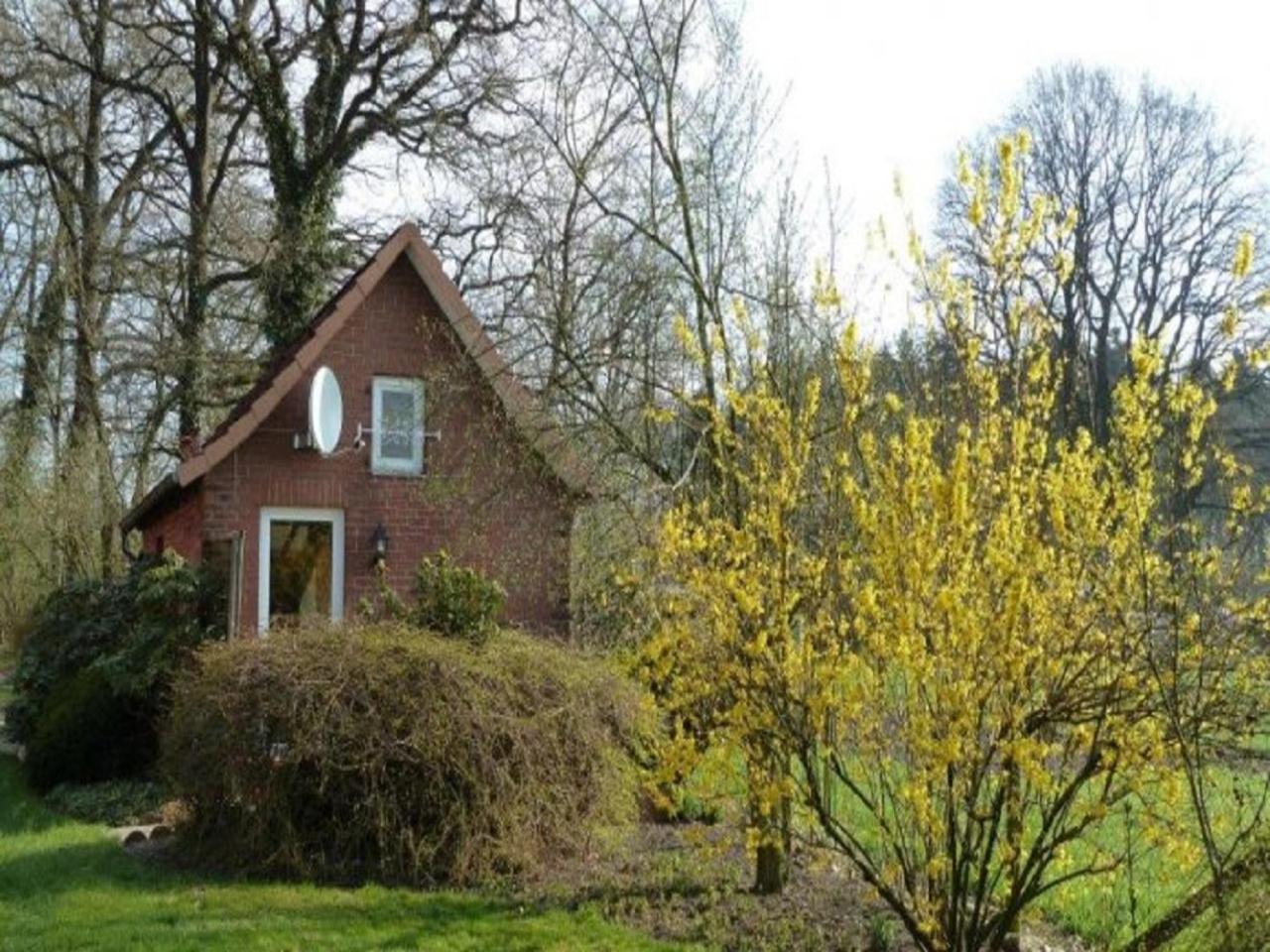 One-Bedroom House photo 2
