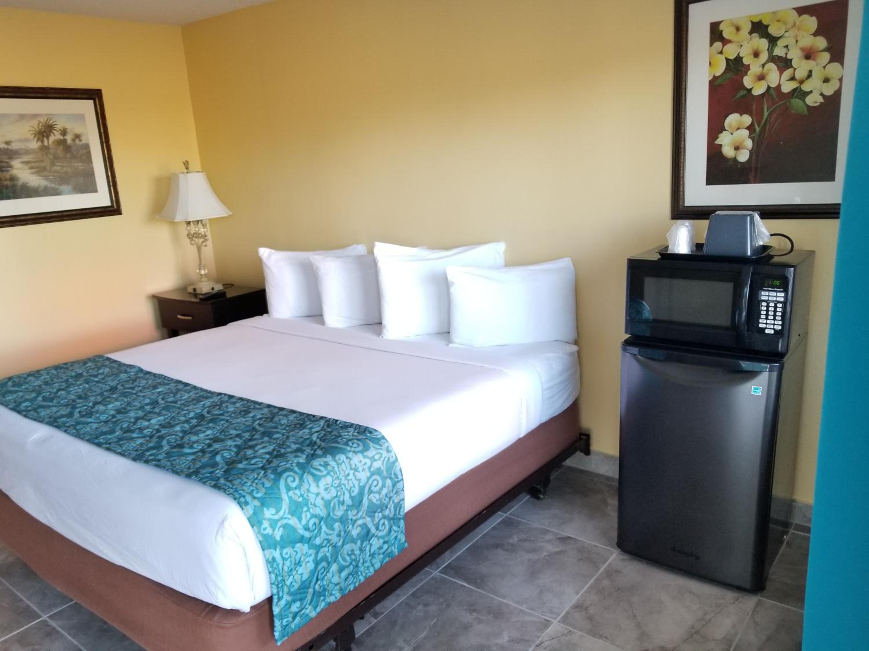 Single Room - Disability Access photo 3