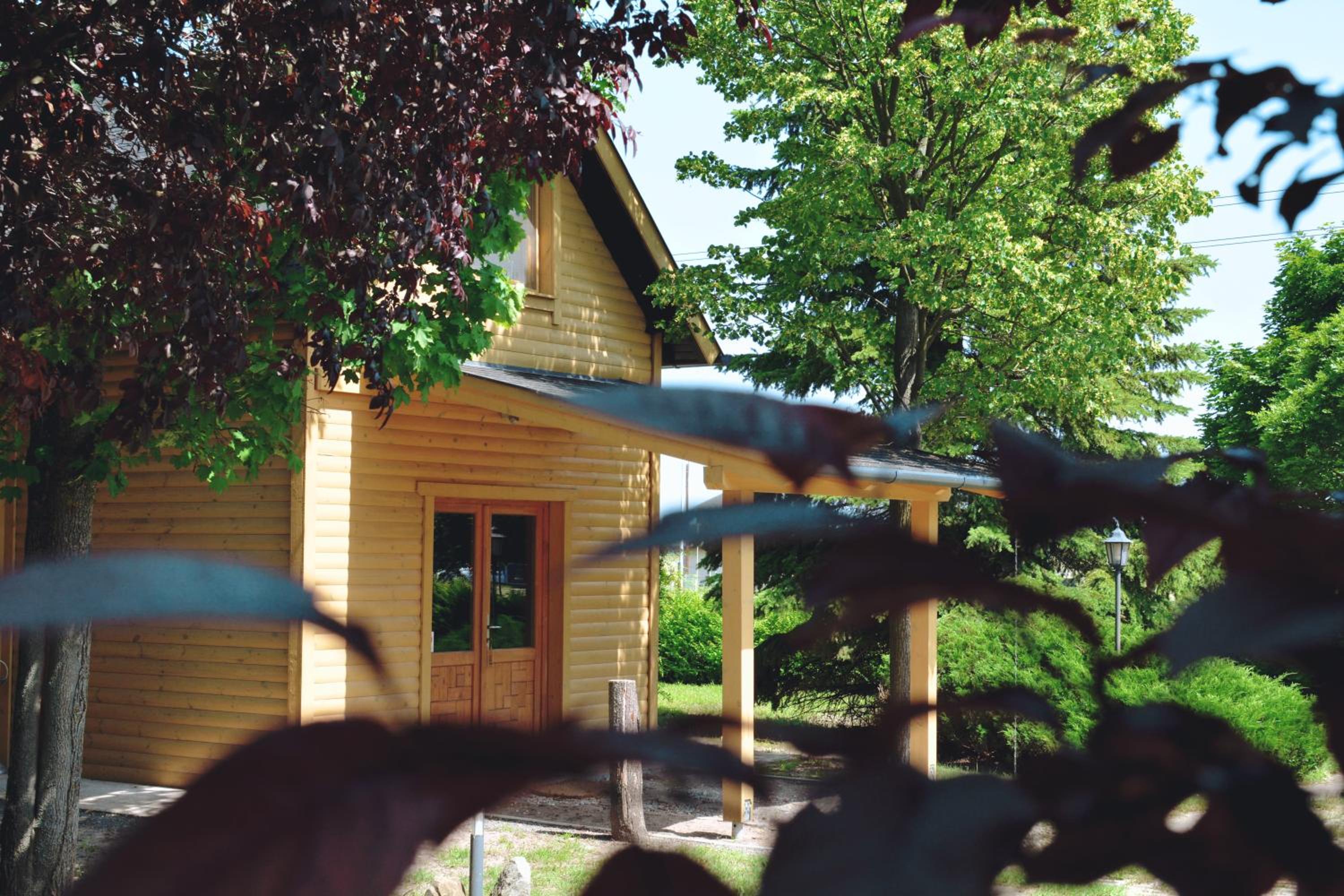 Three-Bedroom Chalet photo 3