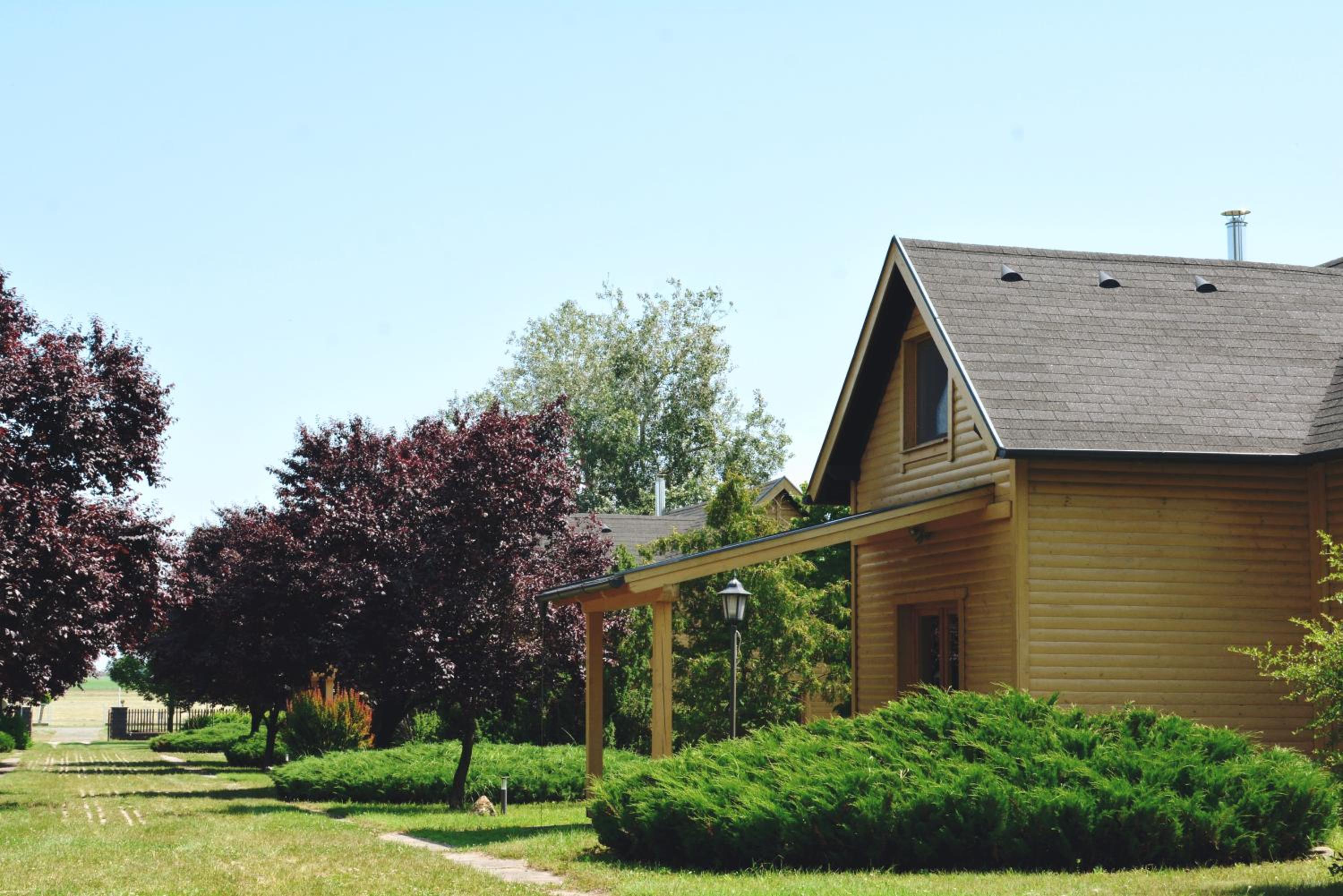 Three-Bedroom Chalet photo 2