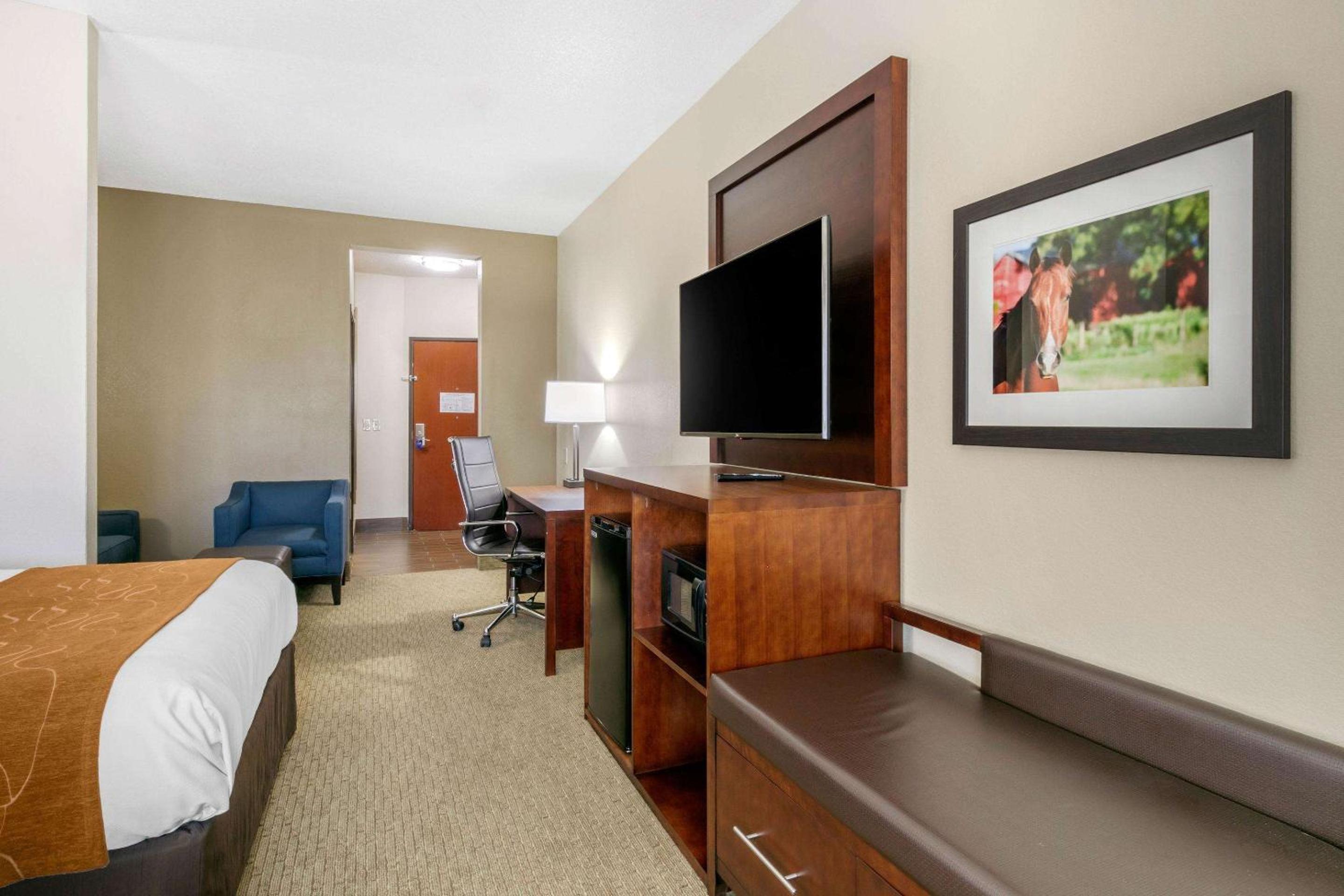 King Room with Sofa Bed - Non-Smoking - Photo 4
