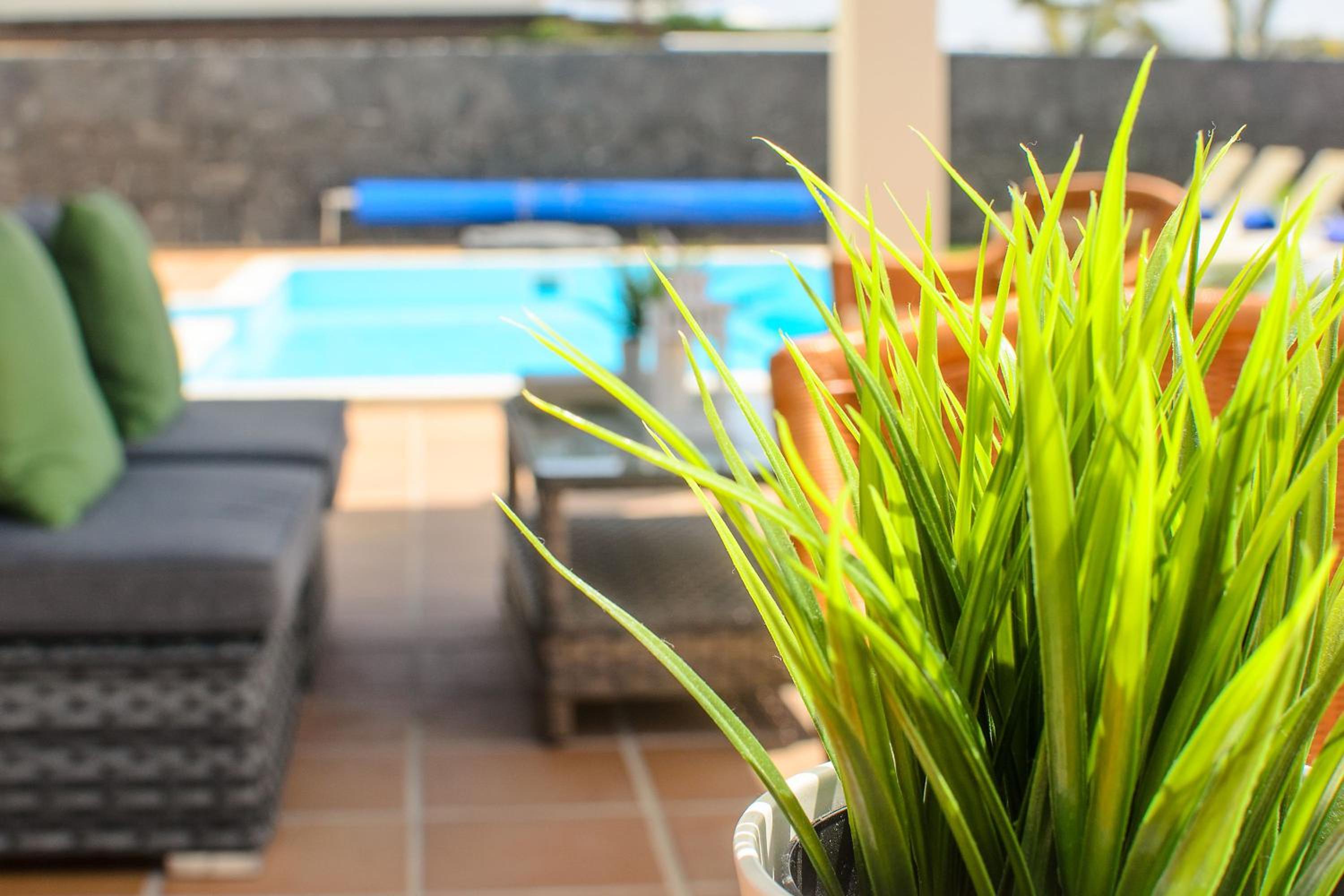Villa with Sea View - Photo 8