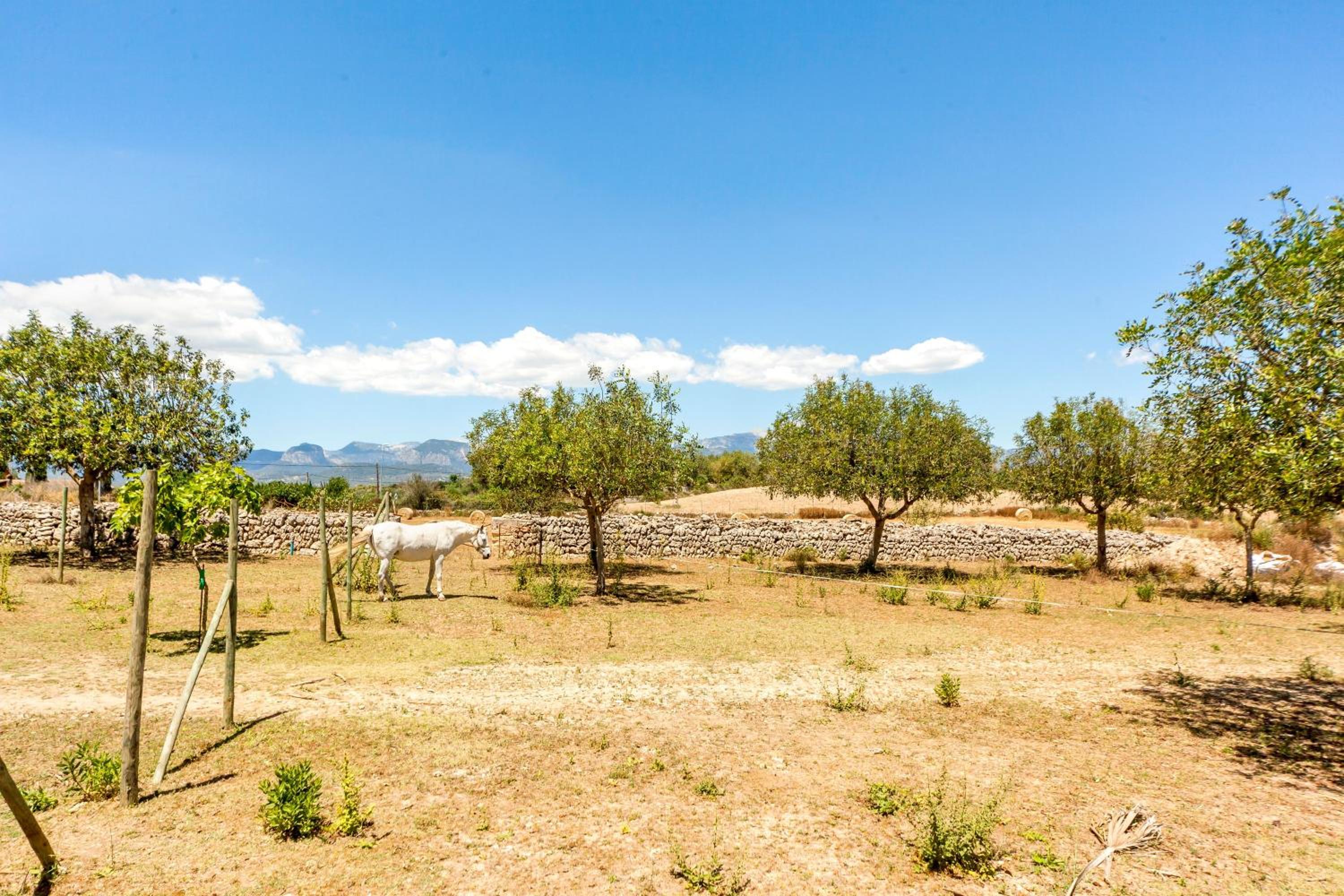 Villa with Garden View - Photo 15
