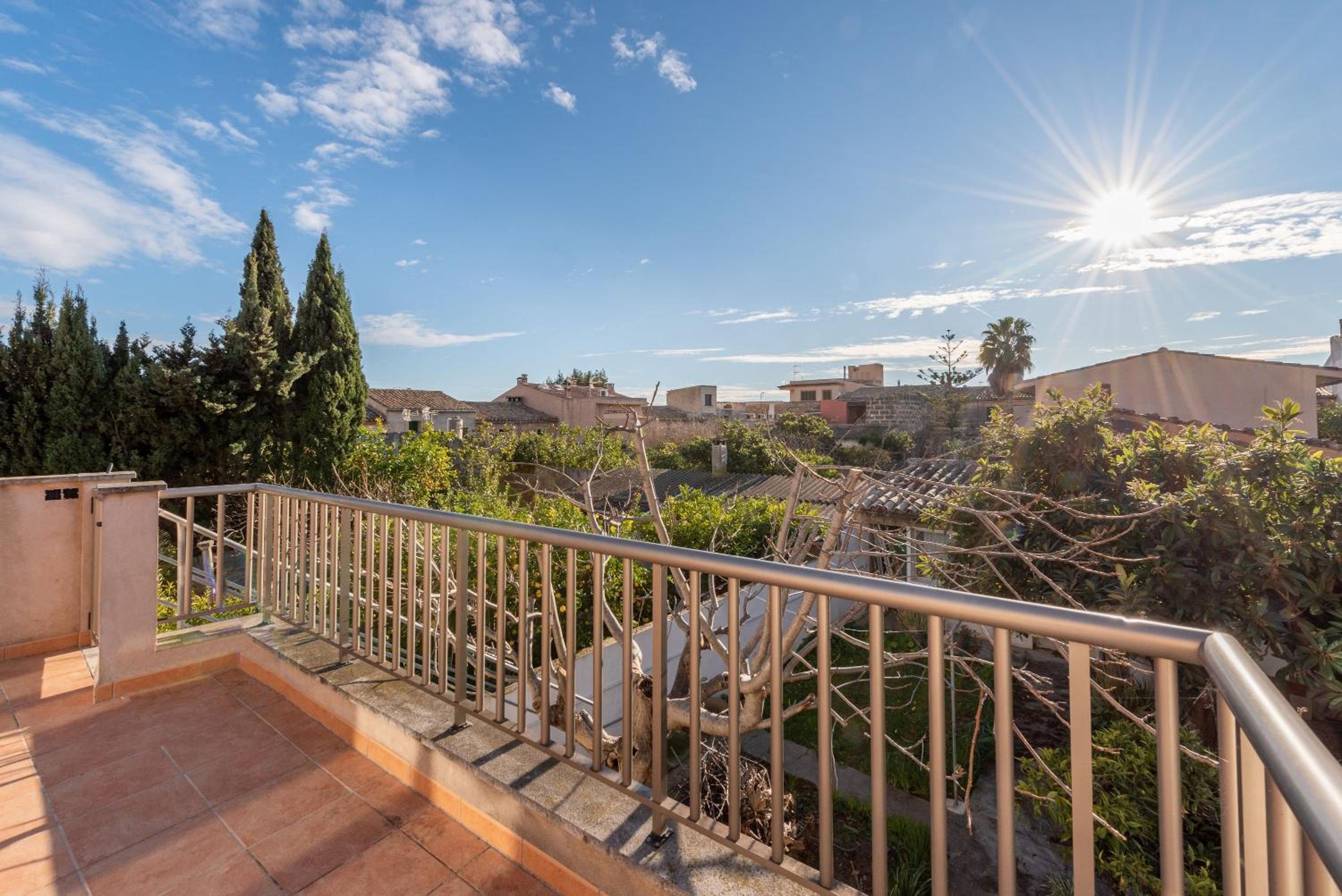 Apartment with Terrace photo 2