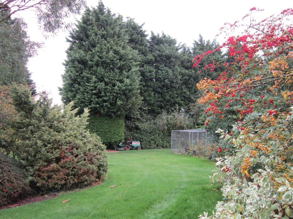 Standard Twin Room with Garden View photo 3