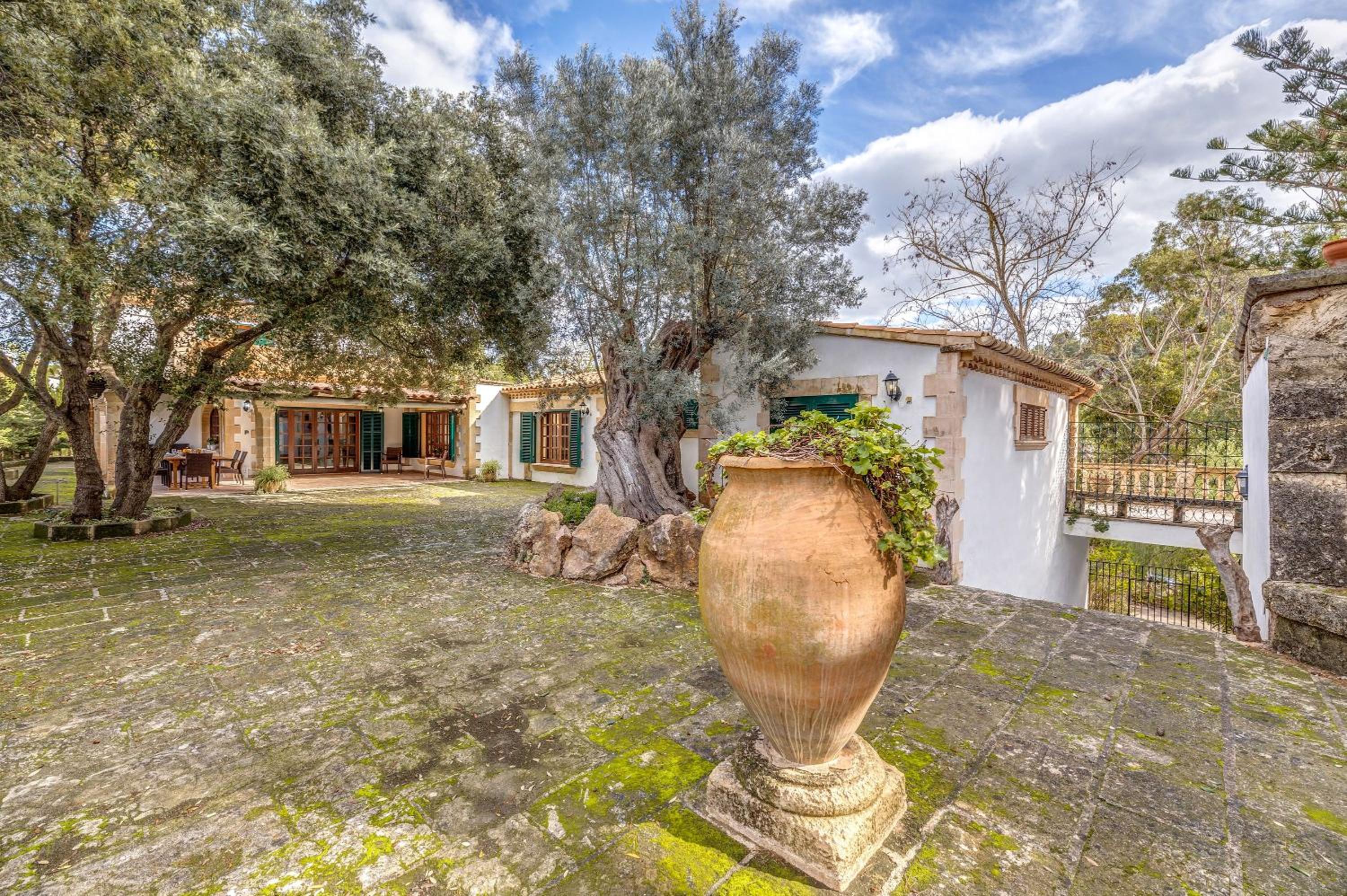 Villa - Photo 23