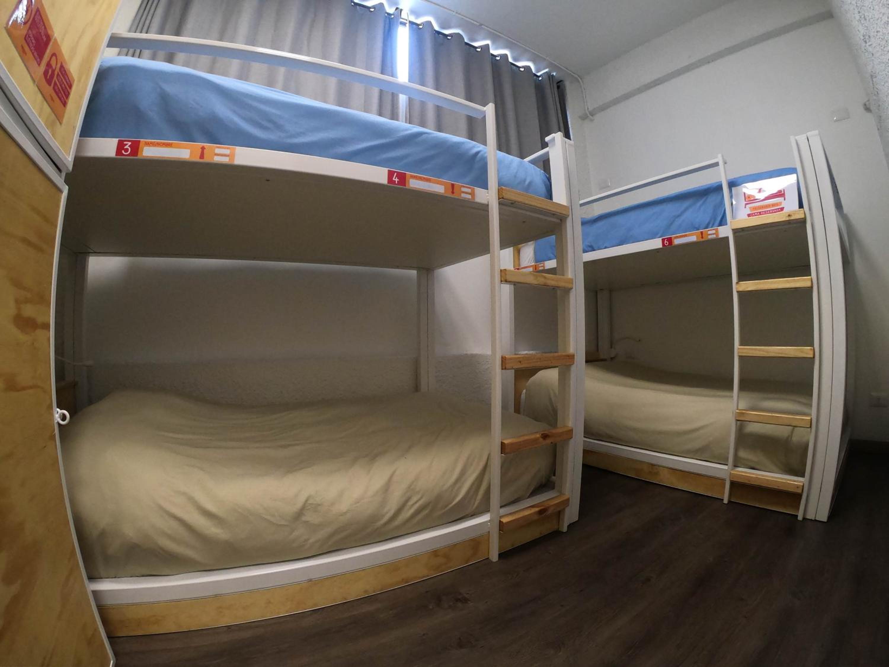Bed In 8-Bed Female Dormitory Room With Shared Bathroom photo 1