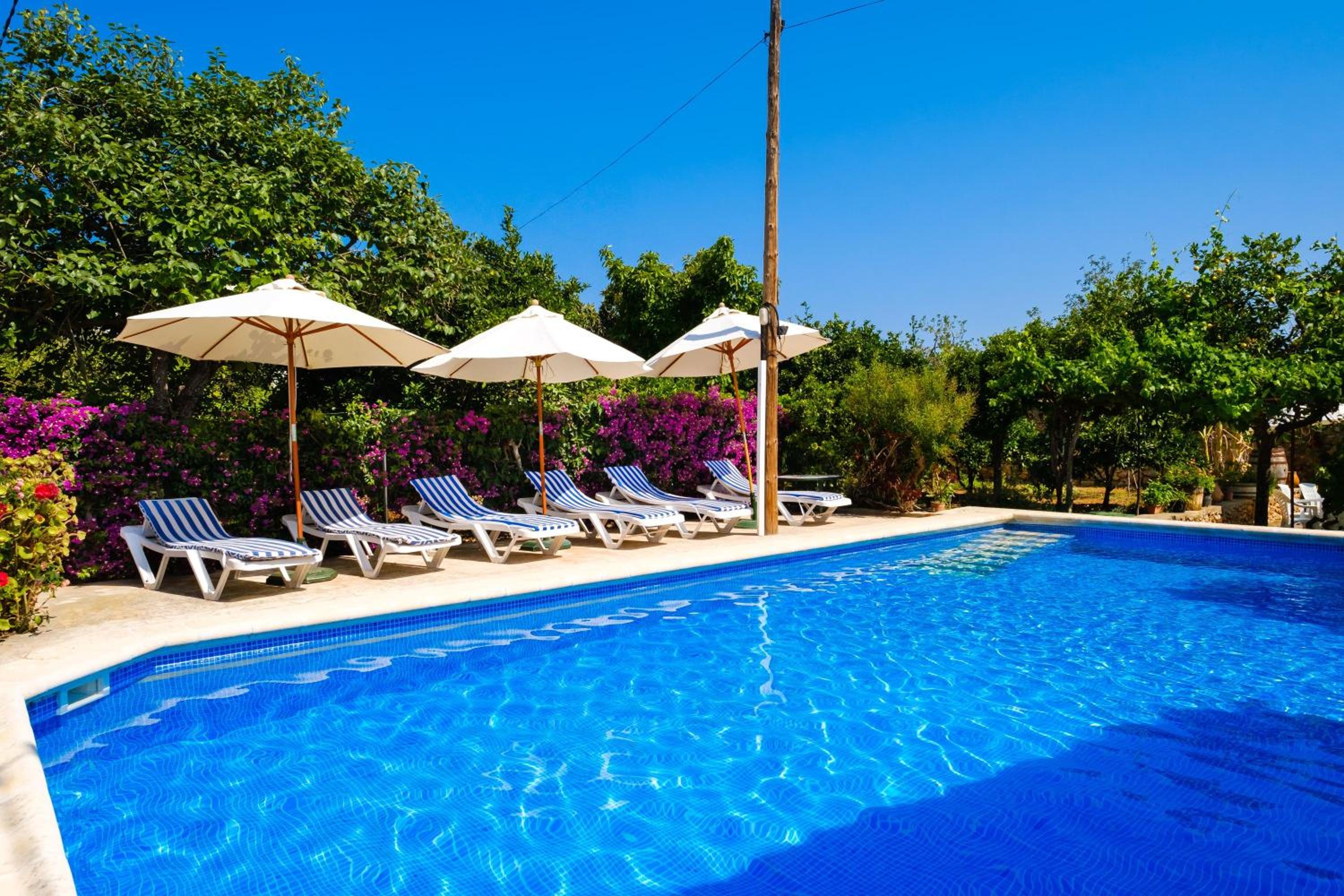 Villa - Photo 4