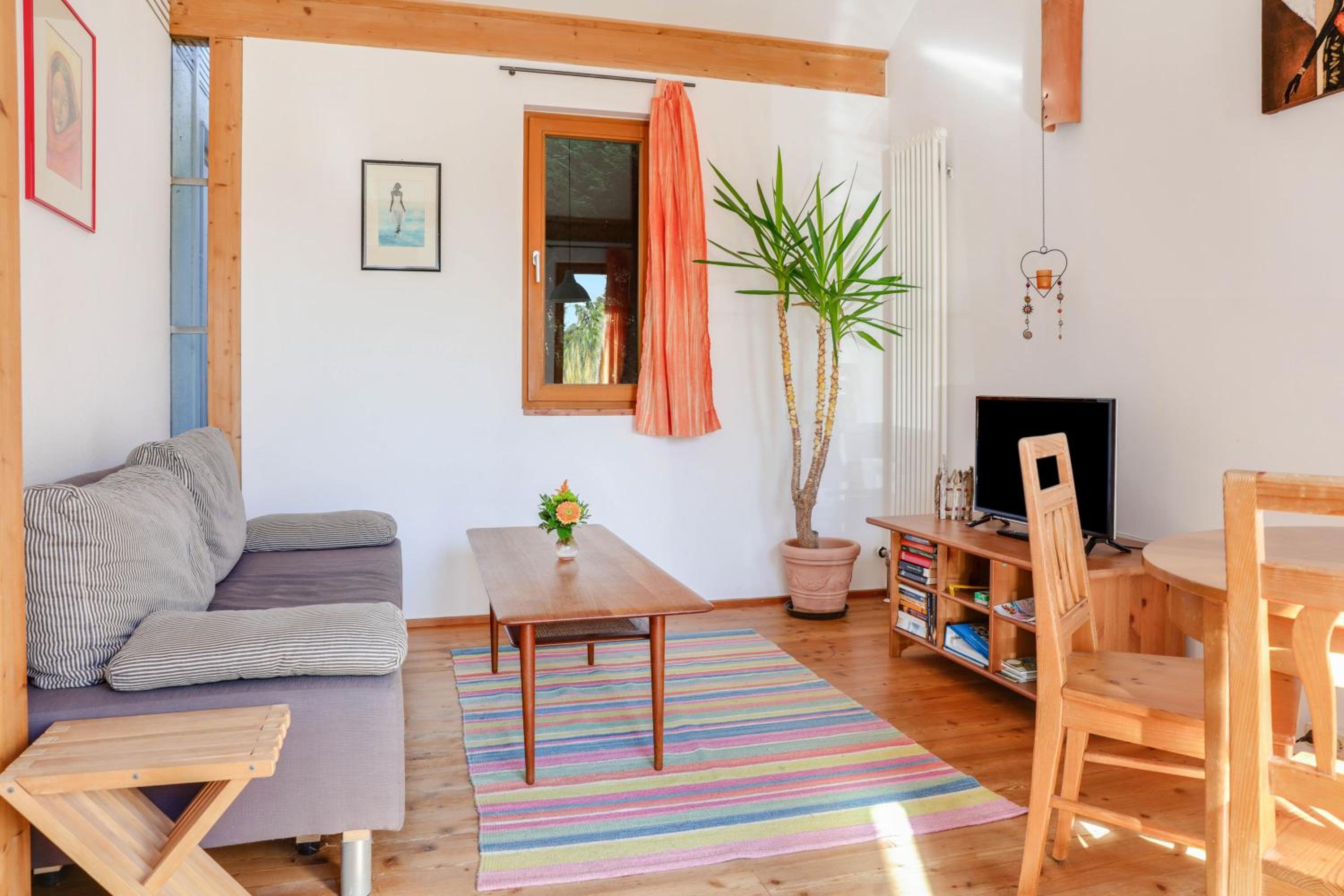 Apartment with Terrace photo 1