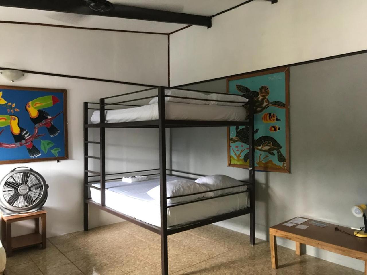 Standard Apartment photo 1