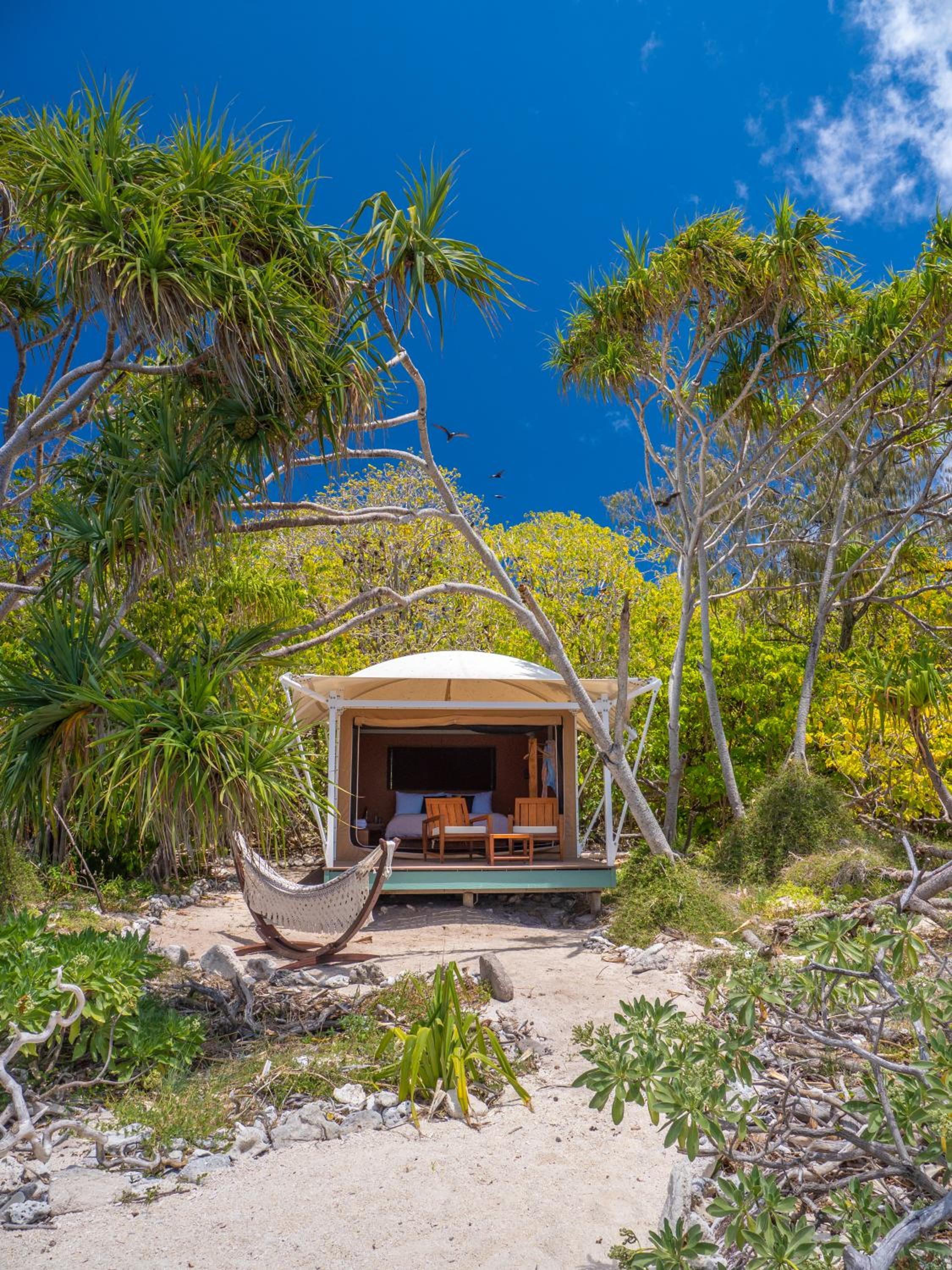 Reef Safari Eco Tent (Twin Share) photo 3