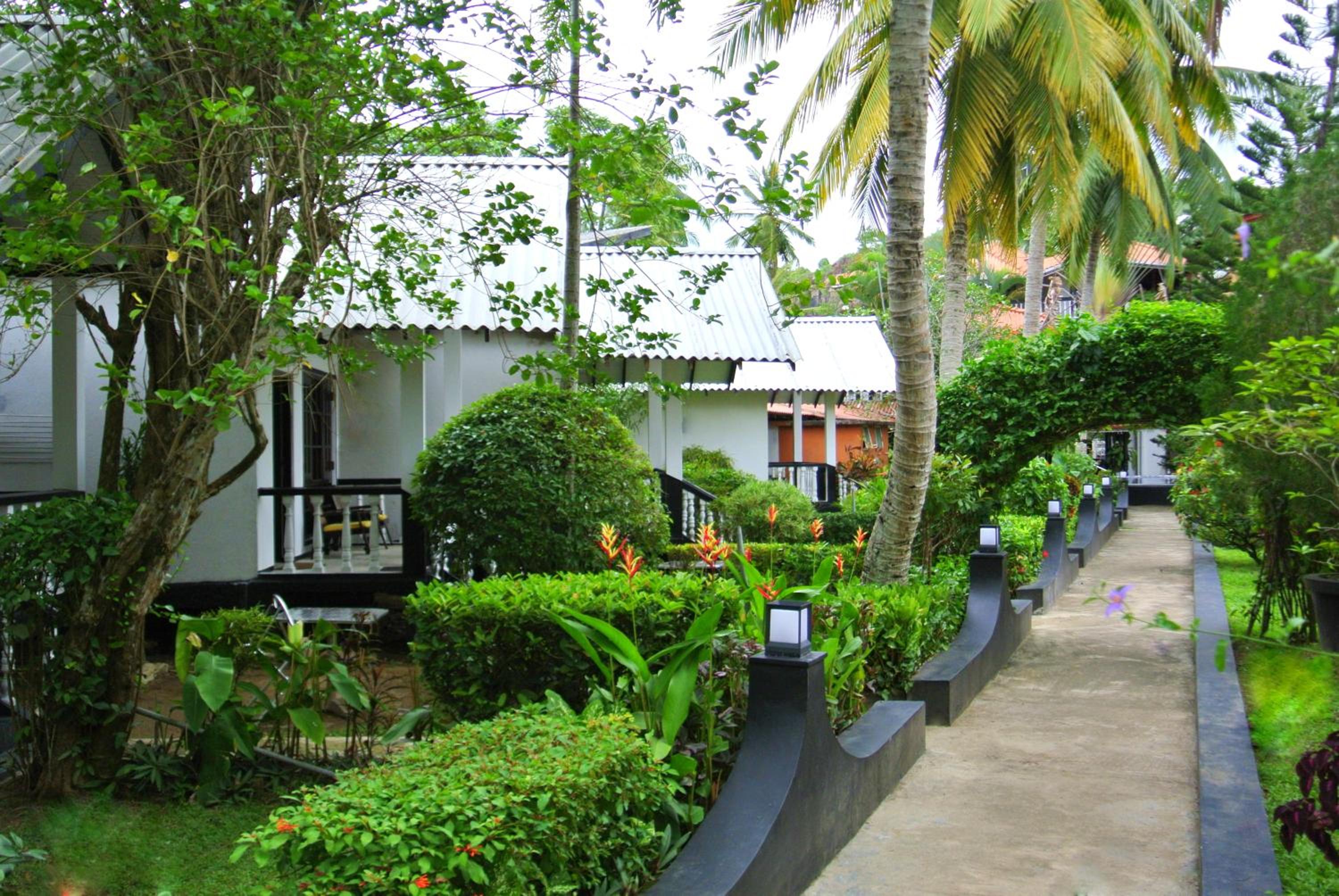 Deluxe Cabana