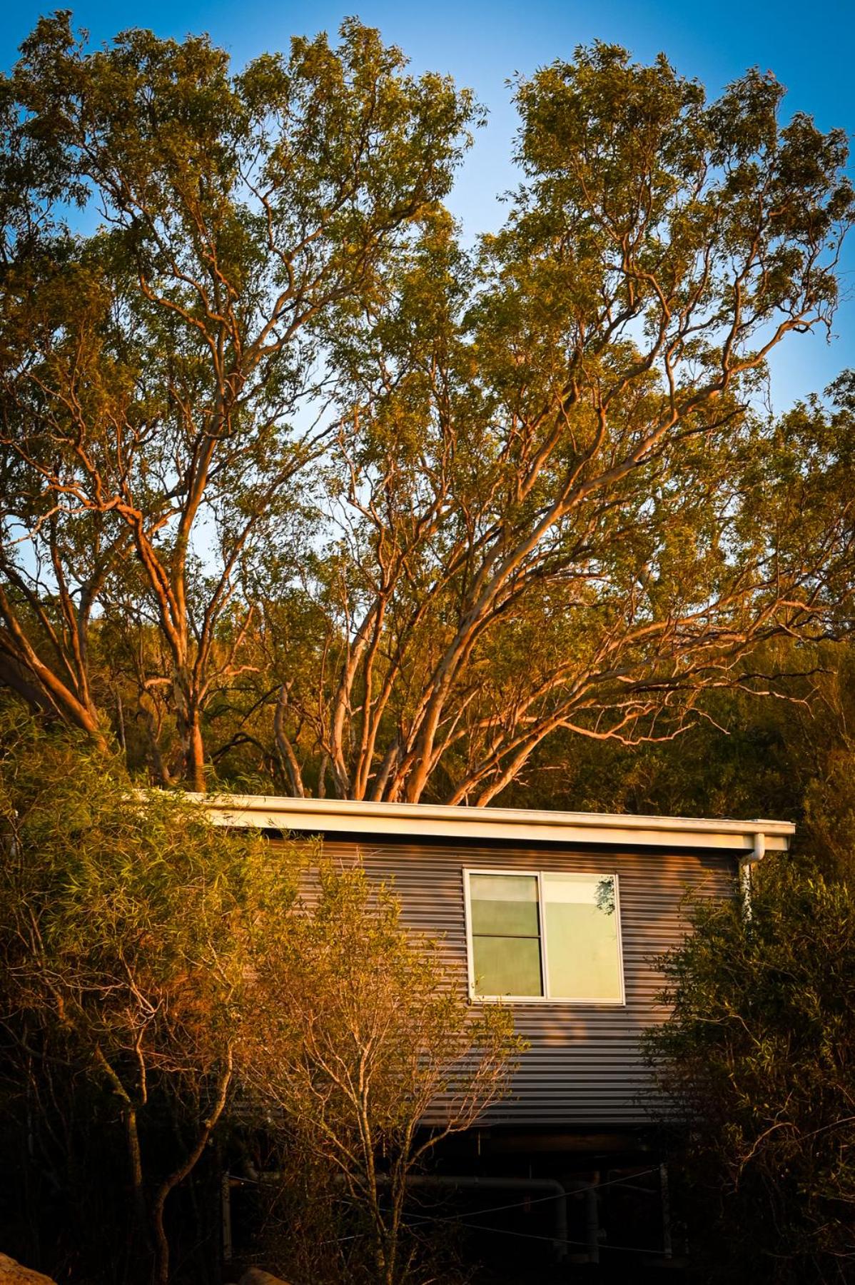Studio with Terrace photo 3