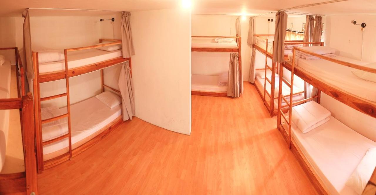 Bunk Bed in Mixed Dormitory Room photo 1