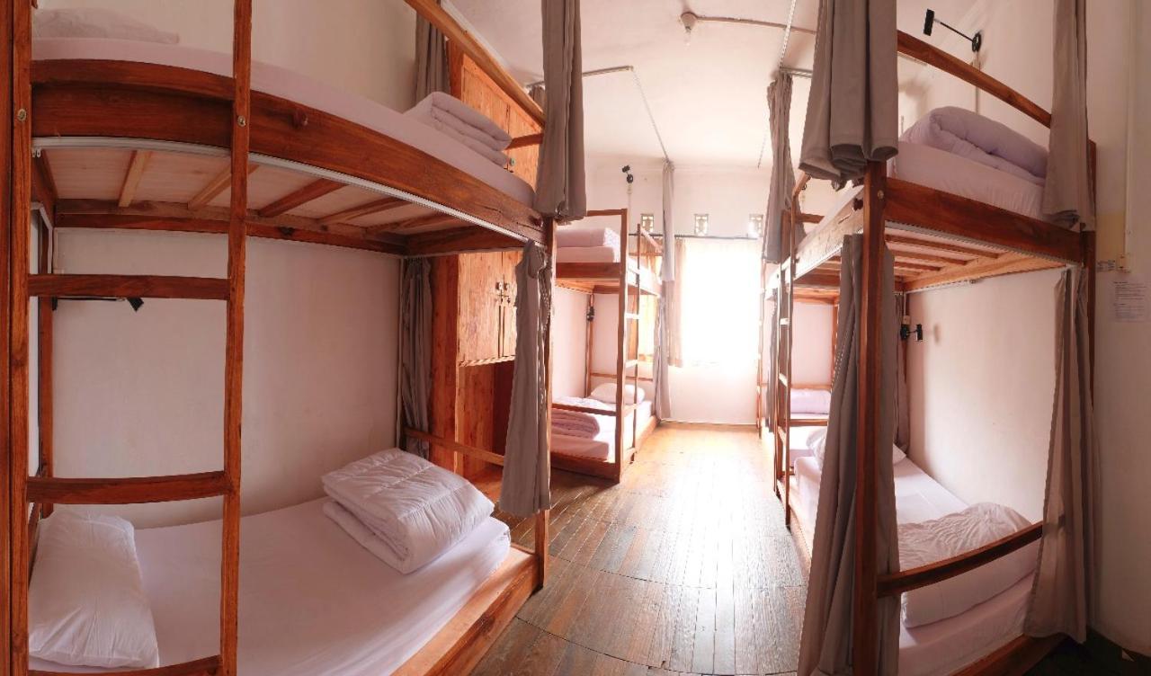Single Bed in Mixed Dormitory Room photo 1