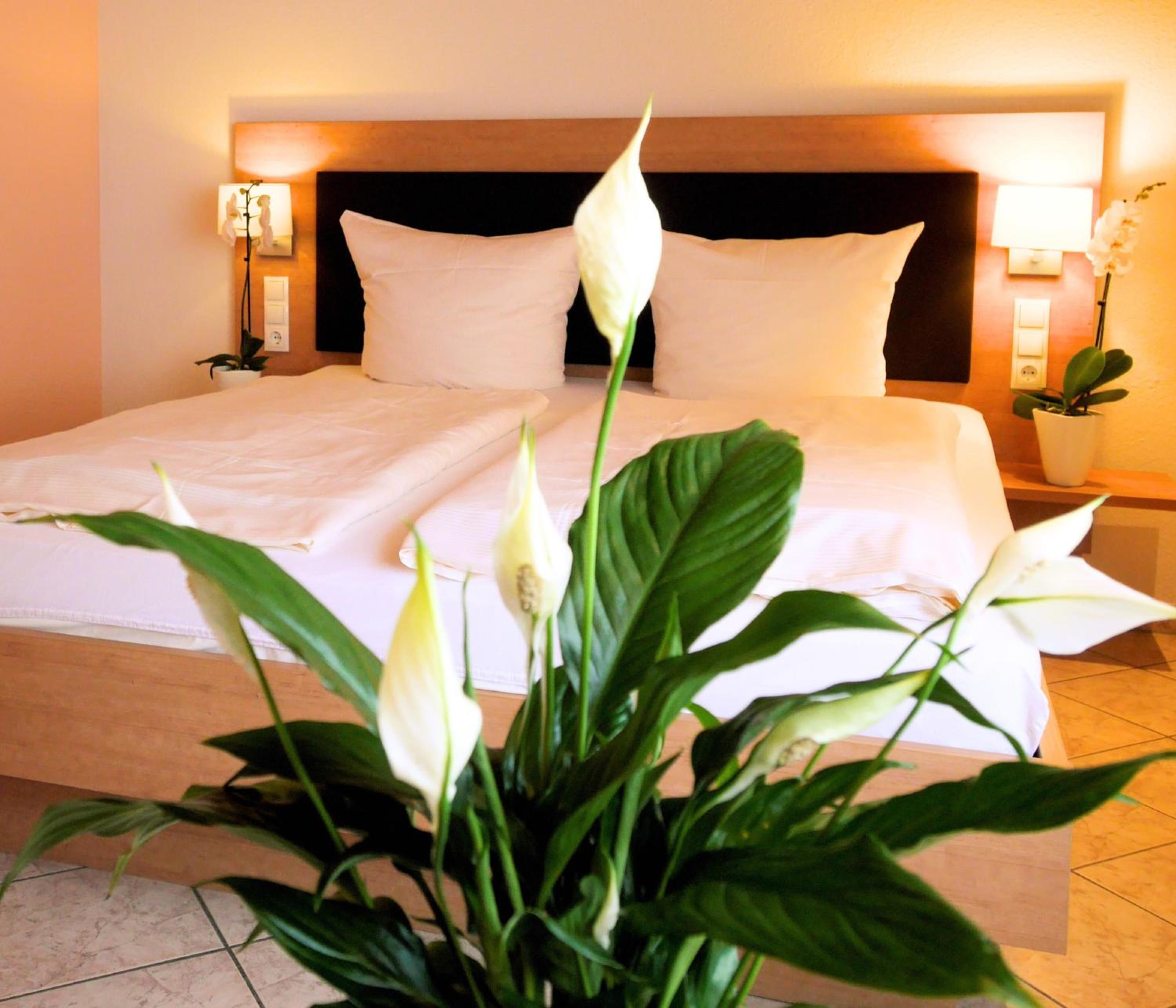 Superior Triple Room - Photo 10