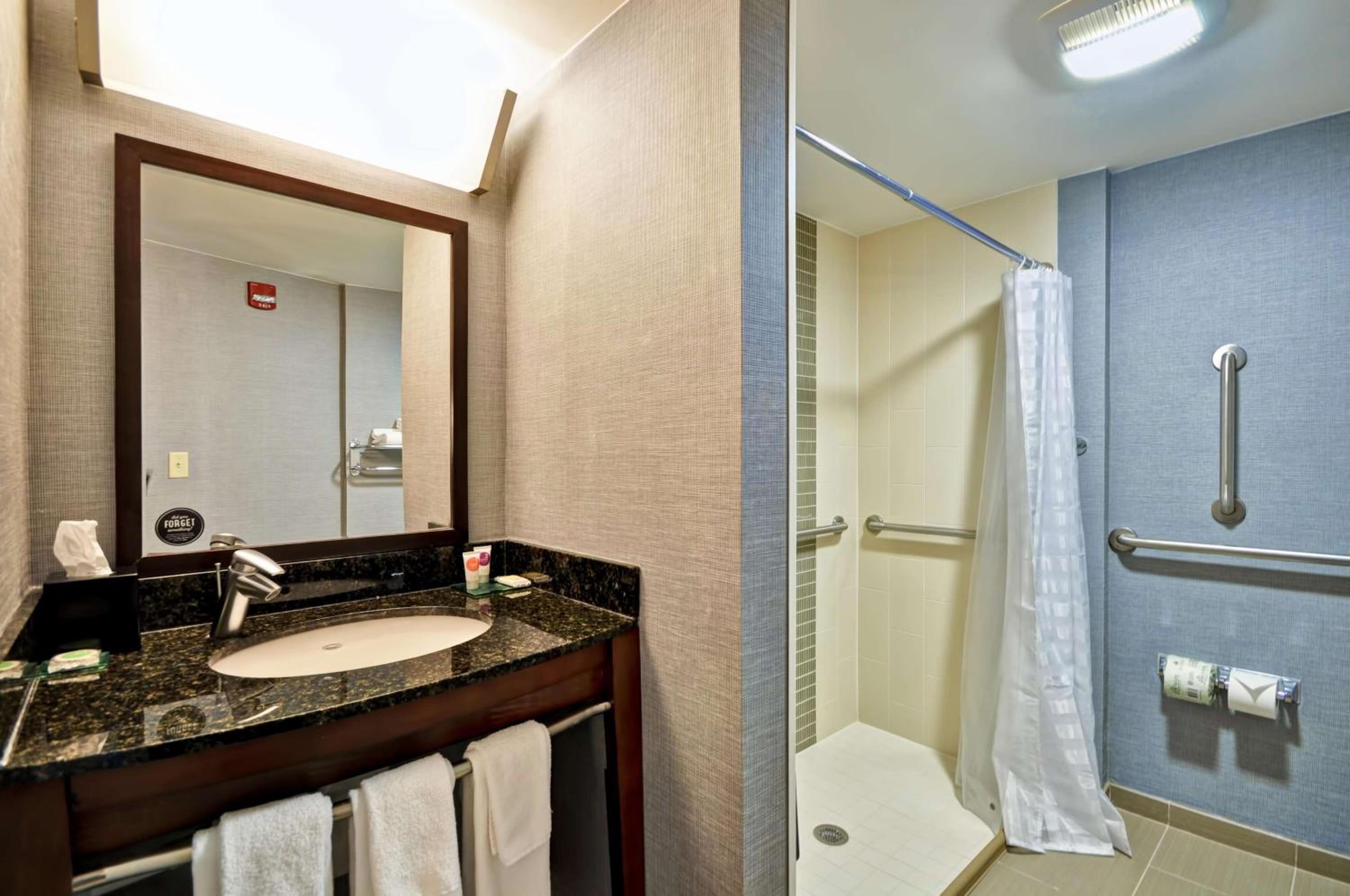 King Room with Roll-In Shower - Disability Access - Photo 7