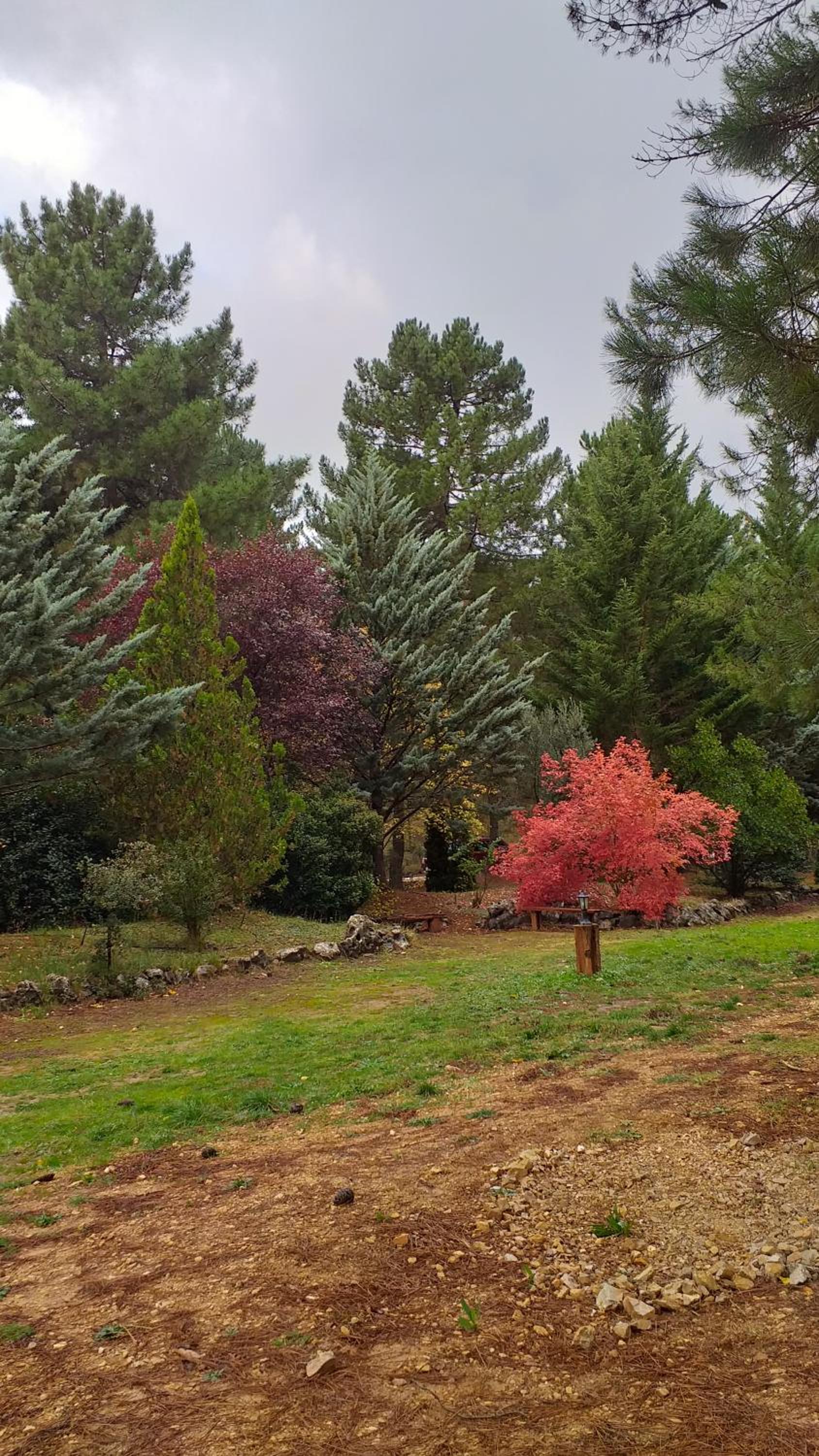 Vacation Home photo 2