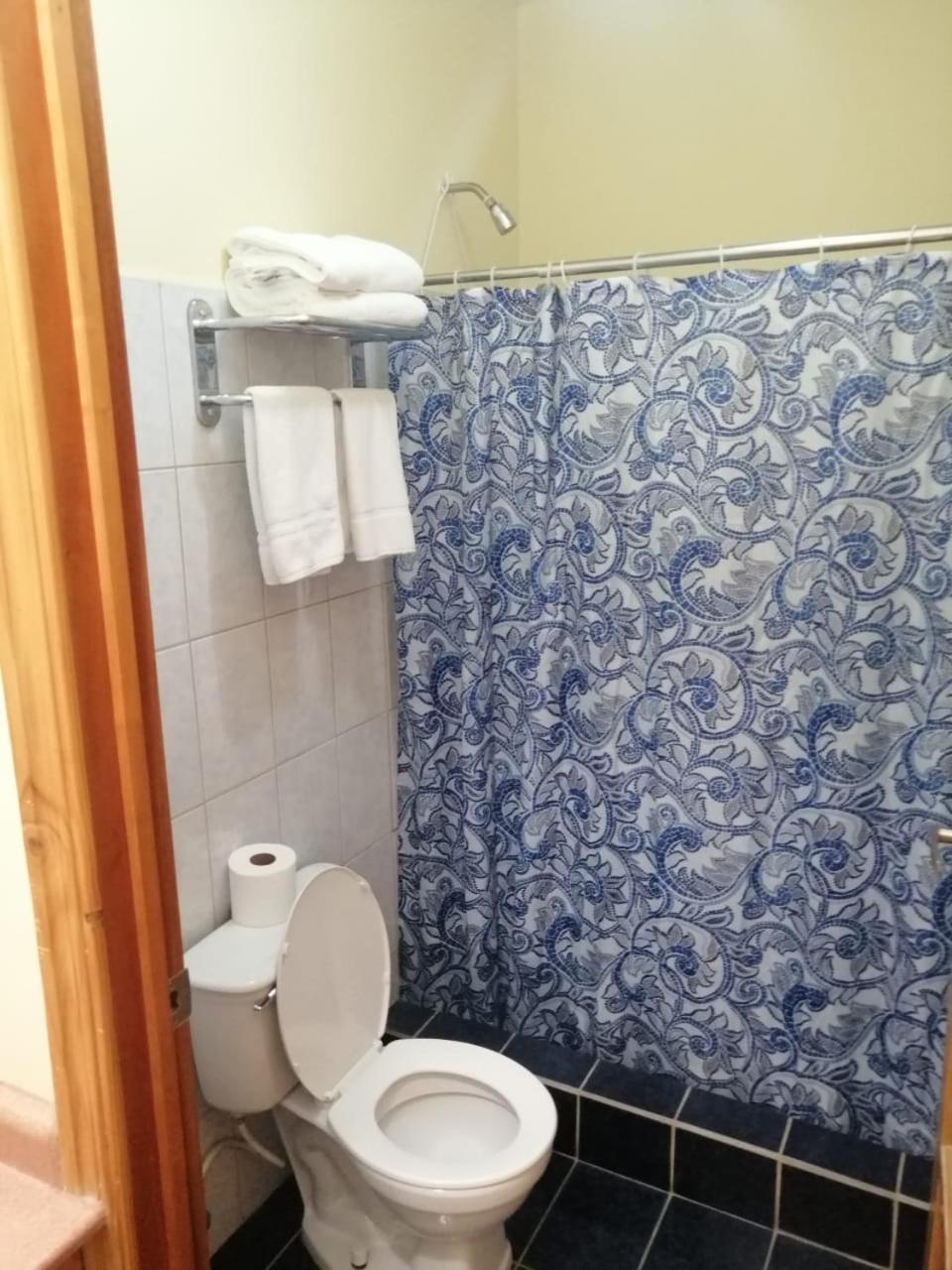 One-Bedroom Apartment photo 2