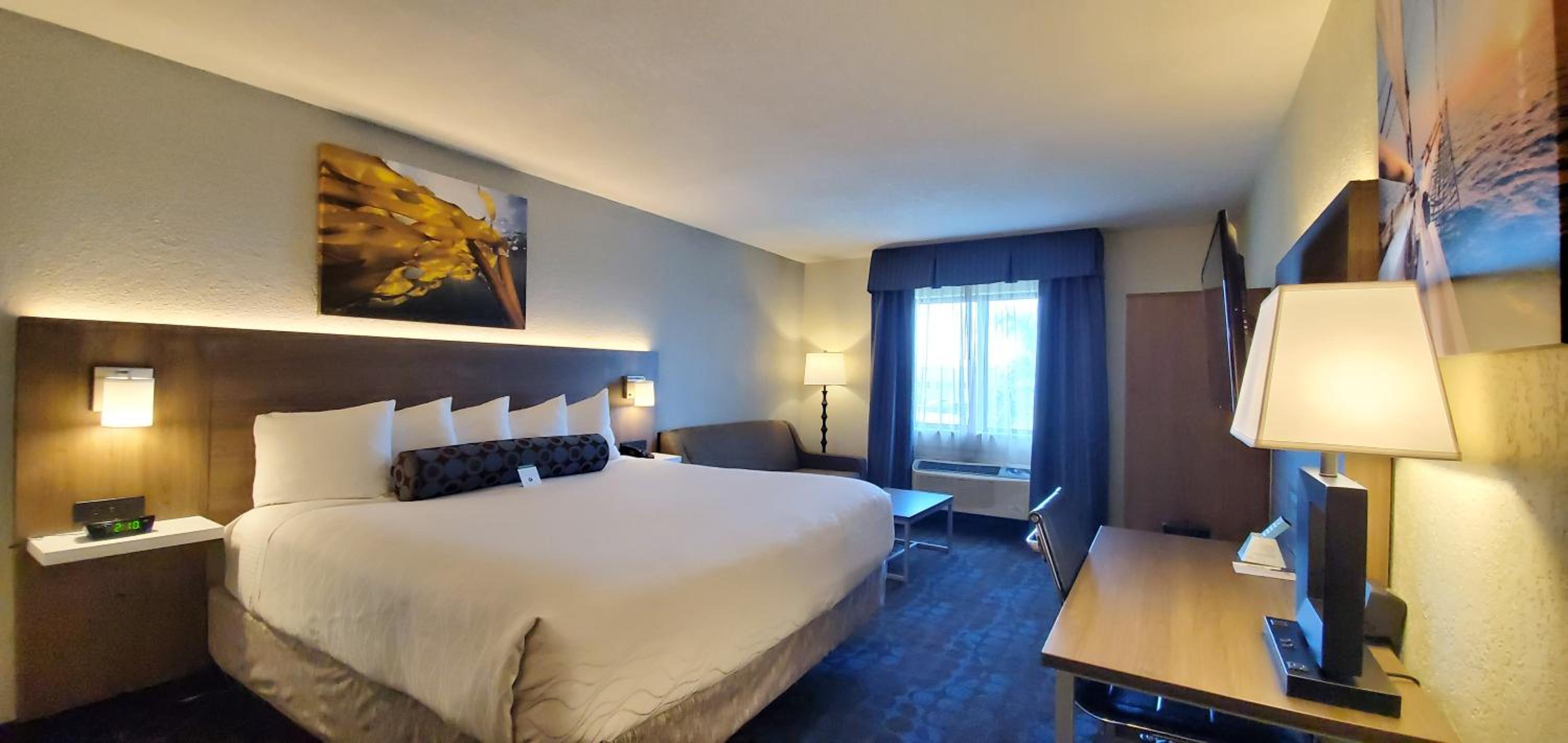 King Room - Non-Smoking - Photo 6
