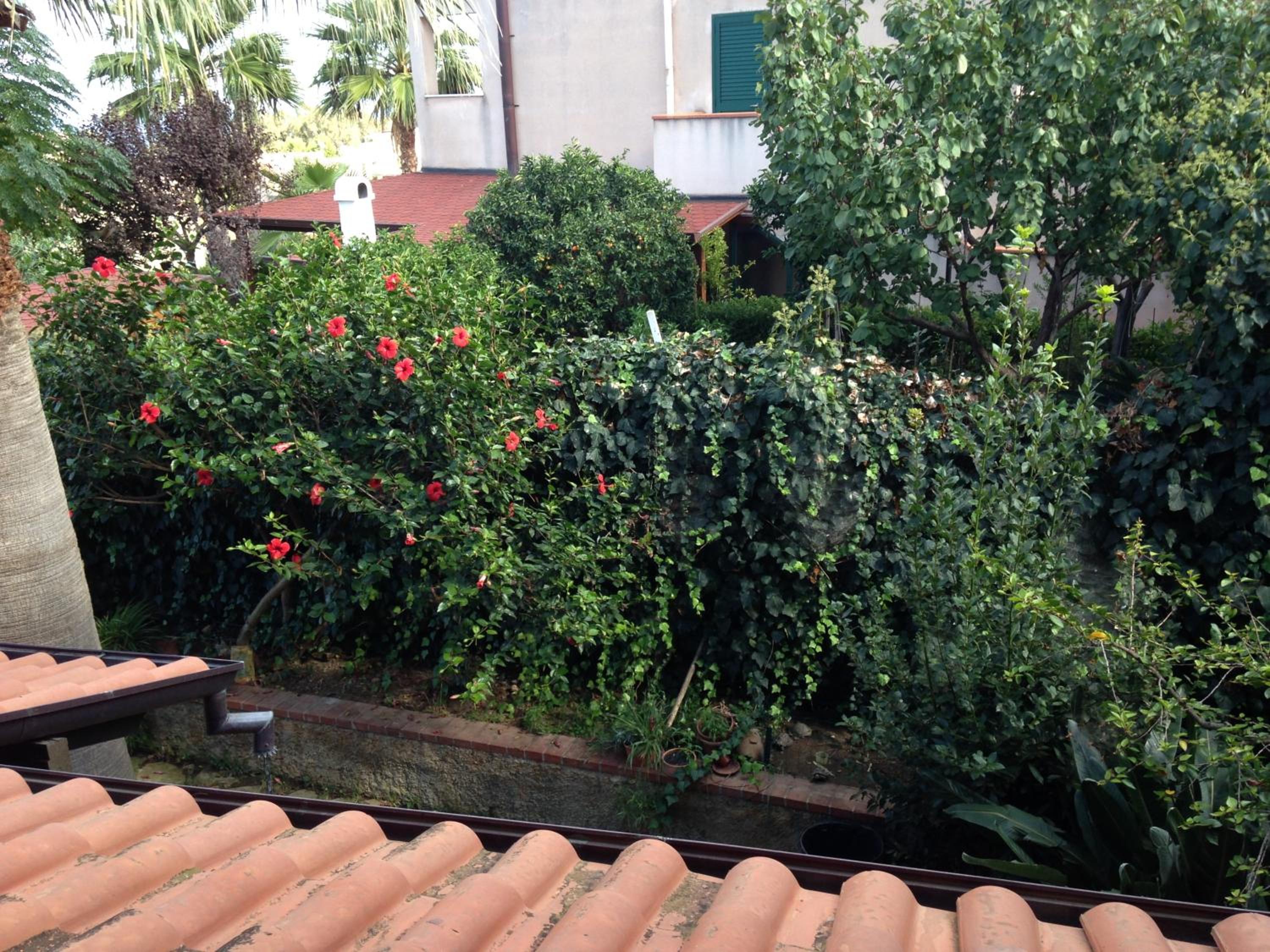 Double or Twin Room with Garden View photo 2
