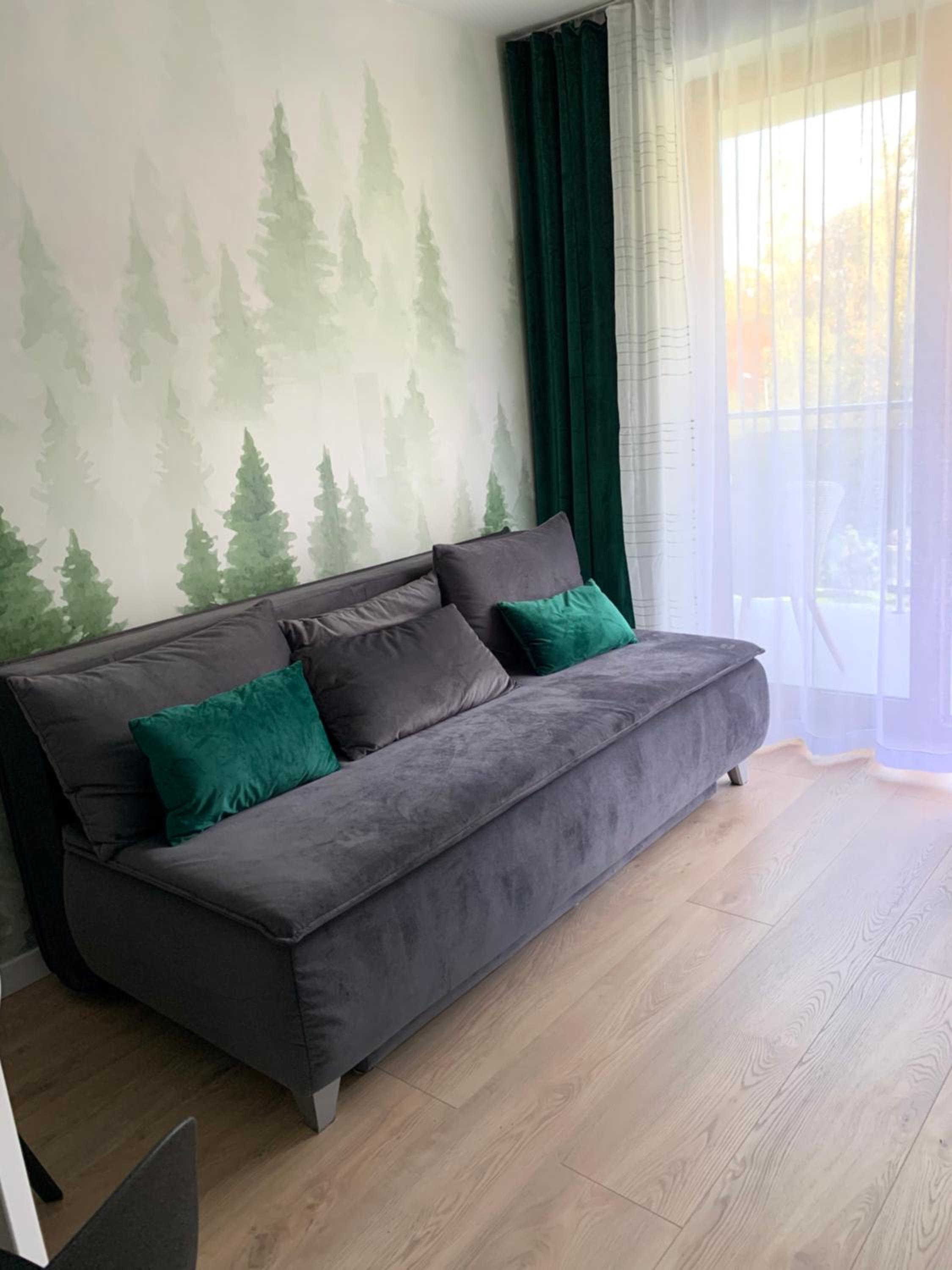 Deluxe Apartment photo 3