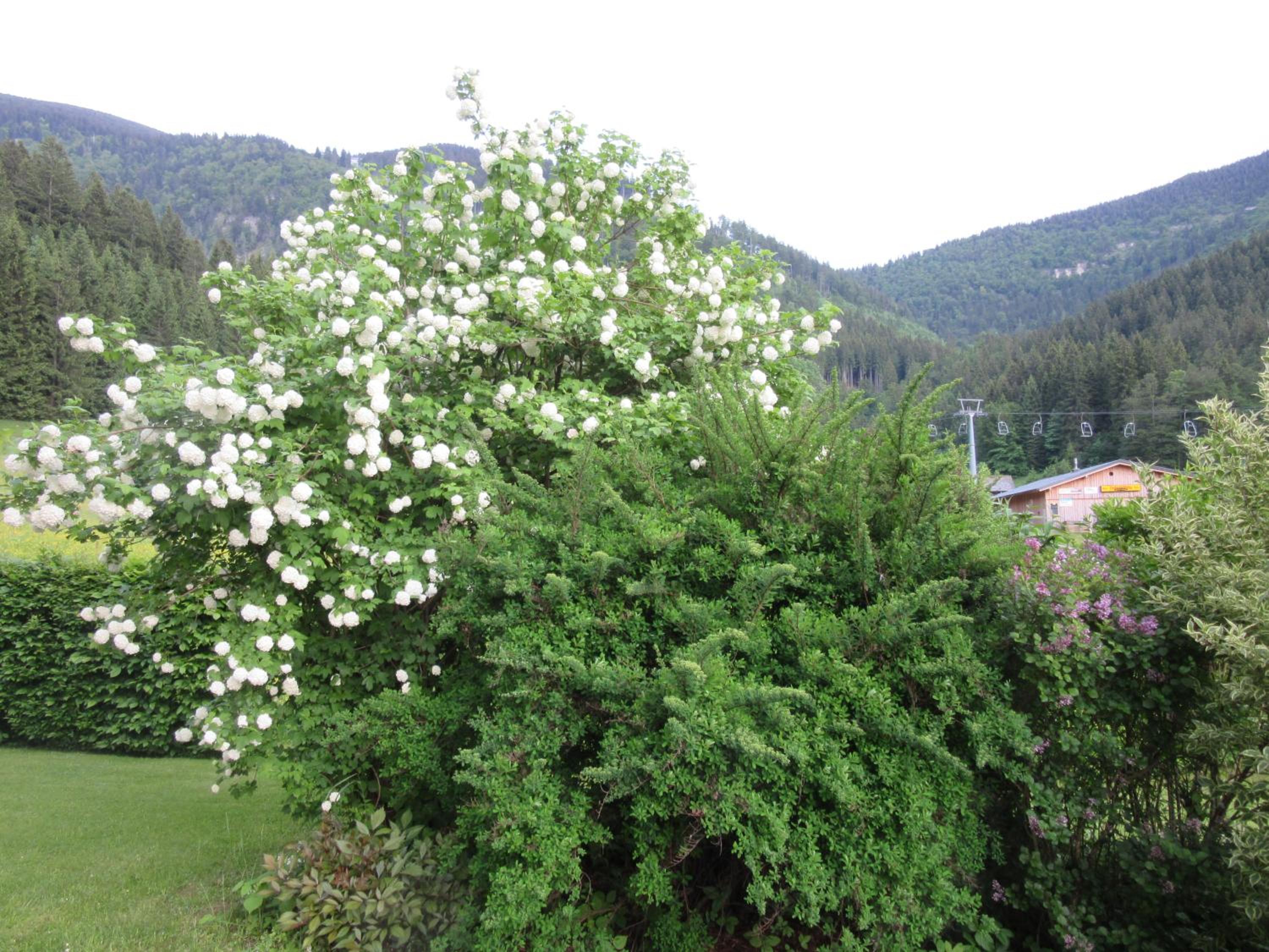 Apartment with Balcony photo 2