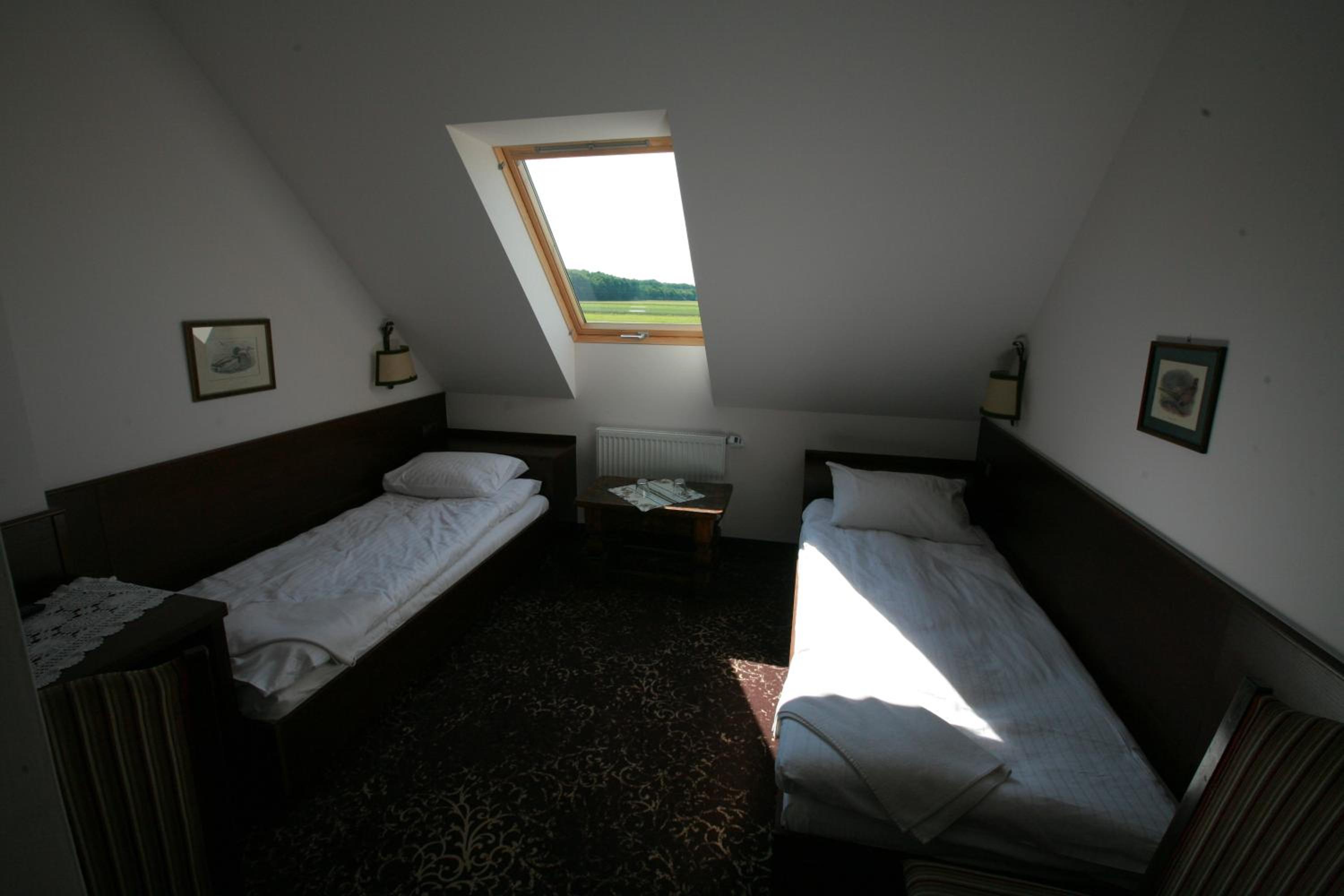 Twin Room photo 3
