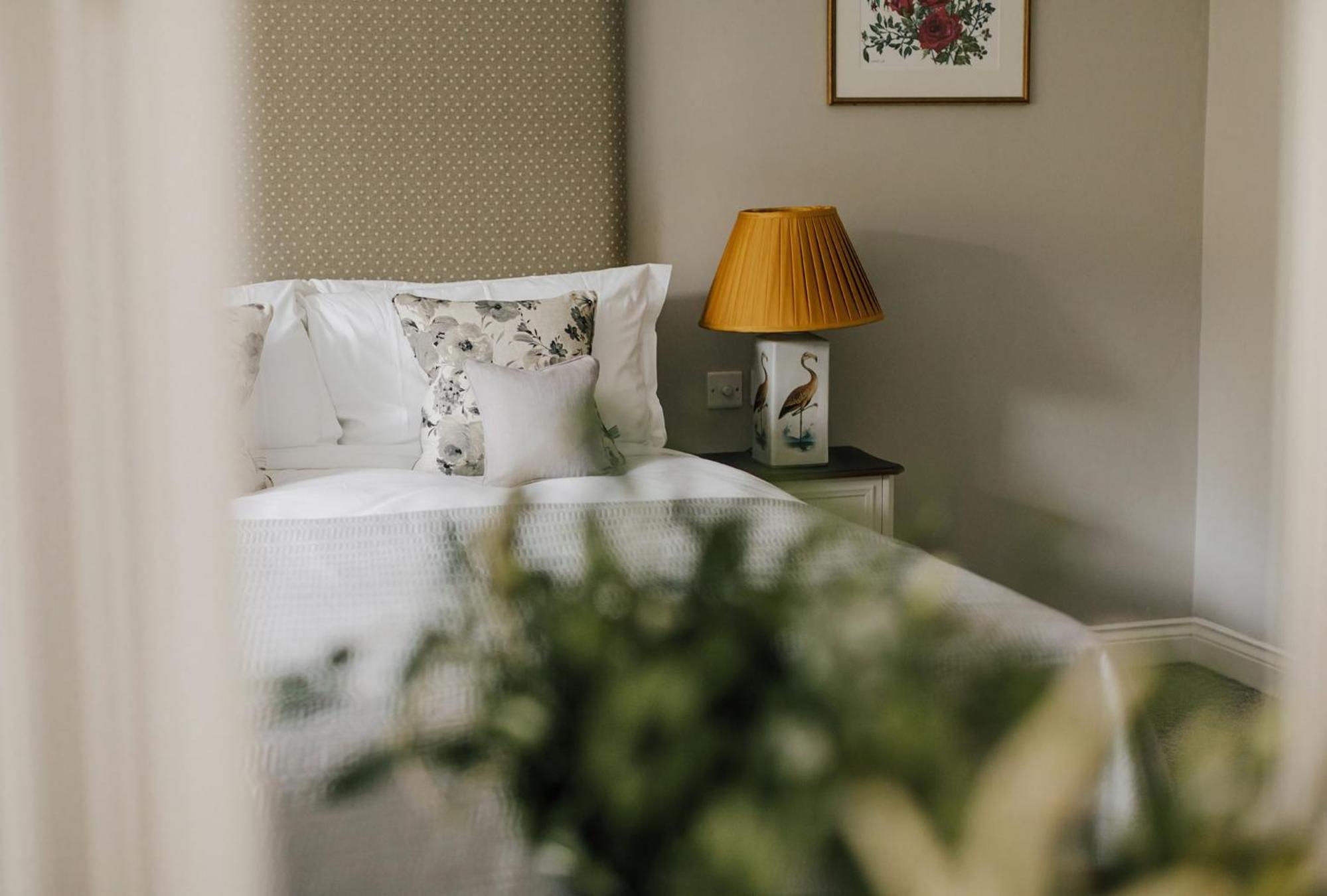 Tyndall Villa Boutique B&B, 사진 3