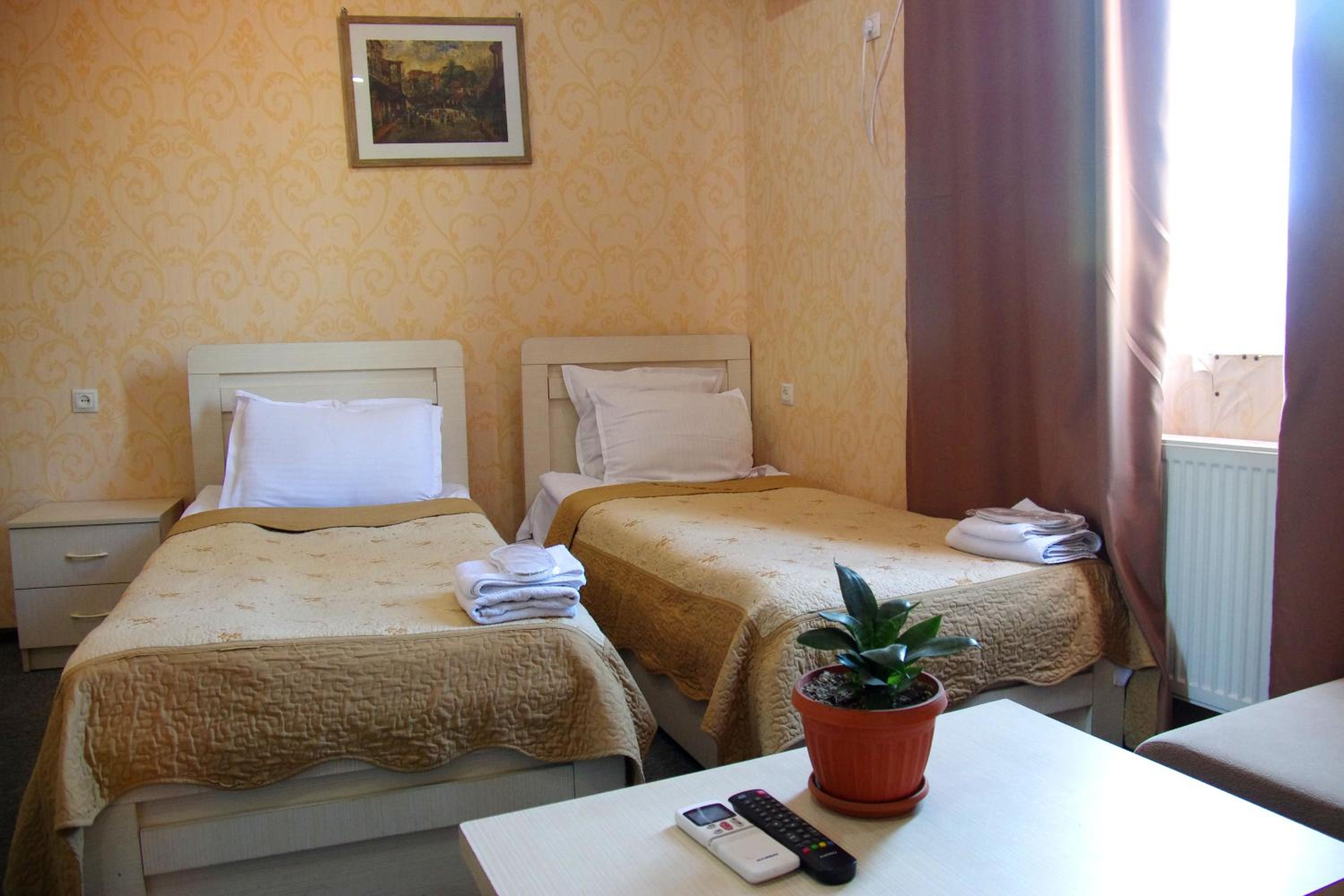 Superior Double or Twin Room with City View