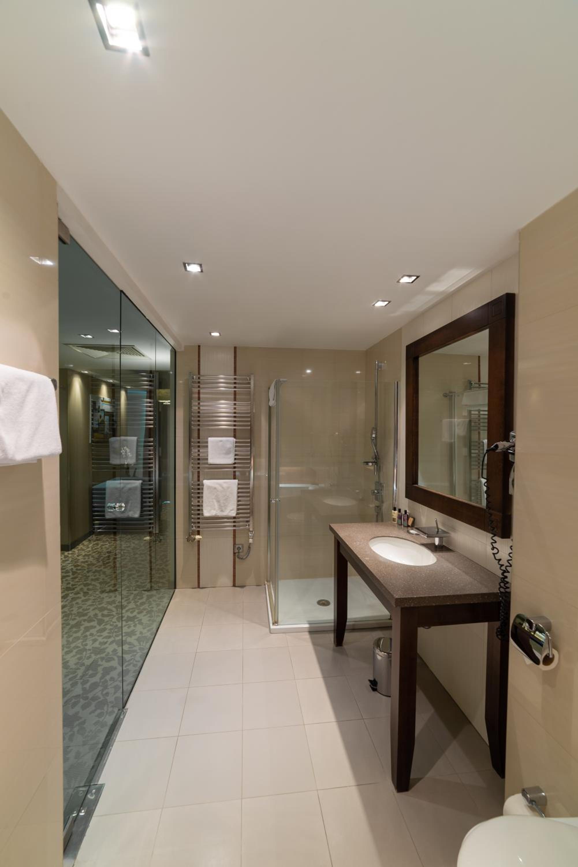 Suite with Wellness Access photo 2